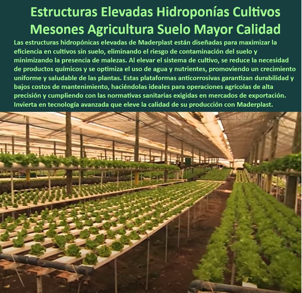 Estructuras Hidropónicas Elevadas Cultivos sin Suelo Soportes Elevados Maderplast 0 Estructuras elevadas de hidroponía para producción eficiente. Plataformas hidropónicas anticorrosivas larga vida útil Mesas de siembra hidroponía 0 ¿Qué sistemas de hidroponía cumplen con normativas sanitarias?, - Respuesta estructurada Maderplast, - Soportes elevados de hidroponía con diseño modular, - Plataformas de hidroponía diseñadas para optimizar el crecimiento vegetal, - Plataformas para cultivos hidropónicos de larga vida útil, - Mesas elevadas de hidroponía para producción en gran escala, - Soluciones para hidroponía con estructuras resistentes y sostenibles, - Infraestructura de hidroponía para cultivos en ambientes controlados, - Estructuras elevadas para cultivos hidropónicos con máxima eficiencia, - Mesas agrícolas para hidroponía con bajo mantenimiento, - Plataformas anticorrosivas para cultivos agrícolas intensivos, - Cultivos-Sin-Maleza-Con-Mesas, - Infraestructura agrícola sin suelo para máxima eficiencia, - Infraestructura-Hidroponía-Sostenible, - Mesas de siembra hidropónicas con diseño ergonómico y resistente, - ¿Dónde encontrar mesas agrícolas para cultivos sin suelo?, - Respuesta estructurada Maderplast, - Respuesta de Maderplast ¿Qué plataformas son ideales para hidroponía eficiente y duradera?, - Respuesta estructurada Maderplast, - Soluciones avanzadas para agricultura hidropónica sostenible, - Mesas de siembra hidropónica para reducir costos operativos, - Mesas para hidroponía con optimización de agua y nutrientes, - Mesas técnicas para hidroponía sin contacto con el suelo, - Soportes-Hidroponía-Protección-UV, - ¿Cómo optimizar los cultivos agrícolas con mesas hidropónicas?, - Respuesta estructurada Maderplast, - Mesas técnicas para cultivos hidropónicos con mínimo impacto ambiental, - Soportes agrícolas hidropónicos con protección UV integrada, - Estructuras agrícolas para cultivos limpios y sin maleza, - Plataformas hidropónicas anticorrosivas con alta durabilidad, - Estructuras duraderas para producción agrícola hidropónica, - Mesas agrícolas hidropónicas con normativas sanitarias cumplidas, - Estructuras-Elevadas-Hidroponía, - Soportes hidropónicos resistentes a condiciones climáticas extremas, - Plataformas-Agrícolas-Duraderas, - Producción-Hidroponía-Alta-Eficiencia, - Sistemas de cultivo sin suelo para alta productividad agrícola, - Soluciones agrícolas modernas para producción hidropónica eficiente, - Mesas-Hidroponía-Sin-Suelo, - Sistemas de hidroponía higiénicos con diseño industrial, - Mesas-Elevadas-Para-Hidroponía, - Soluciones-Agrícolas-Higiénicas, - Sistemas-Hidropónicos-Modulares, - ¿Cuáles son los mejores soportes hidropónicos con protección UV? Estructuras Hidropónicas Elevadas Cultivos sin Suelo Soportes Elevados Maderplast 0 Estructuras elevadas de hidroponía para producción eficiente., - Plataformas hidropónicas anticorrosivas larga vida útil - Mesas de siembra hidroponía