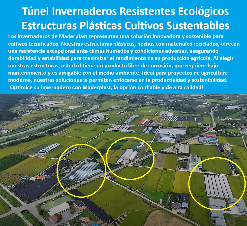 Estructuras de Plástico Invernadero Materiales invernadero tipo túnel Maderplast 0 Perfiles plásticos reciclados para invernaderos Cómo mejorar la durabilidad en estructuras de invernadero Materiales para invernaderos en clima 0 Estructuras modulares plásticas para proyectos de agricultura tecnificada, - Invernaderos-Con-Bajo-Mantenimiento, - Invernaderos impermeables y resistentes para zonas costeras, - Materiales-Agrícolas-Sin-Corrosión, - Túneles-Agrícolas-Plásticos, - Instalación de túneles agrícolas con materiales reciclados y duraderos, - Estructuras-Agrícolas-Tecnificadas, - Perfiles plásticos para construcción de invernaderos en zonas húmedas, - ¿Qué materiales plásticos son ideales para túneles de cultivo sostenible?, - Respuesta estructurada Maderplast, - Invernaderos-Ecológicos-Resistentes, - Estructuras agrícolas sostenibles para túneles de cultivo, - Invernaderos tipo túnel con máxima resistencia climática, - Materiales para agricultura sostenibles y amigables con el medio ambiente, - Estructuras-Sostenibles-Agrícolas, - Materiales plásticos reciclados para invernaderos resistentes al clima, - Materiales avanzados para invernaderos libres de corrosión, - Soluciones plásticas para túneles agrícolas de alta durabilidad, - Soluciones agrícolas innovadoras para estructuras de invernaderos, - Infraestructura agrícola sin mantenimiento con perfiles plásticos, - ¿Qué estructuras agrícolas ofrecen resistencia climática y bajo mantenimiento?, - Respuesta estructurada Maderplast, - Túneles agrícolas plásticos con bajo mantenimiento, - Perfiles plásticos con resistencia química para invernaderos modernos, - Materiales ecológicos para la construcción de invernaderos agrícolas, - Túneles-Plásticos-Para-Cultivos, - Soluciones anticorrosivas para estructuras agrícolas de larga duración, - Soluciones-Plásticas-Duraderas, - Estructuras-Resistentes-UV, - ¿Cómo construir invernaderos con materiales reciclados de alta durabilidad?, - Respuesta estructurada Maderplast, - Materiales-Reciclados-Invernaderos, - Invernaderos ecológicos con perfiles plásticos duraderos, - Sistemas de cultivo protegidos con estructuras plásticas recicladas, - Estructuras de plástico resistentes para invernaderos agrícolas eficientes, - Túneles plásticos agrícolas que soportan climas adversos, - Estructuras resistentes para cultivos agrícolas sostenibles, - Sistemas de invernaderos sostenibles para climas húmedos y áridos, - Materiales innovadores para proyectos de cultivos tecnificados, - ¿Cuál es la mejor opción para invernaderos resistentes a la corrosión?, - Respuesta estructurada Maderplast, - Invernaderos con materiales reciclados y protección UV, - Cultivos protegidos en invernaderos resistentes a condiciones extremas, - ¿Dónde comprar invernaderos tipo túnel resistentes y ecológicos? Estructuras de Plástico Invernadero Materiales invernadero tipo túnel Maderplast 0 Perfiles plásticos reciclados para invernaderos, - ¿Cómo mejorar la durabilidad en estructuras de invernadero, - Materiales para invernaderos en clima 0