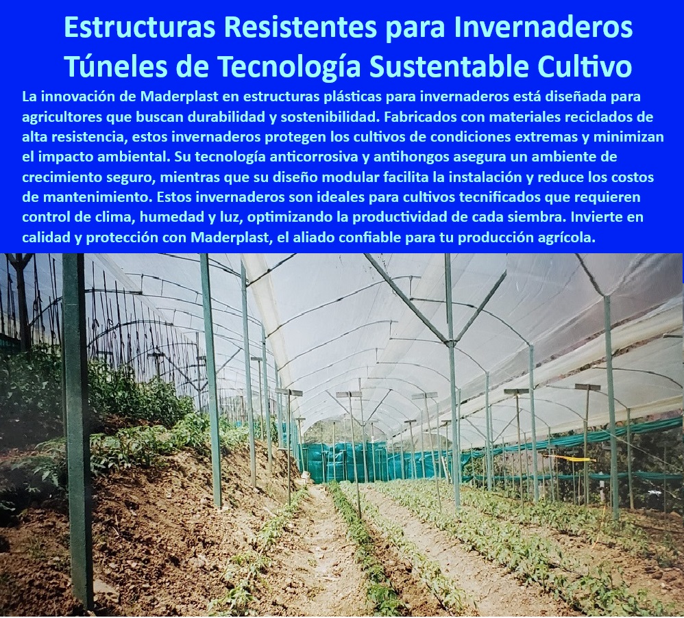 Estructuras de Plástico Invernaderos de Alto Rendimiento Maderplast 0 Materiales para invernaderos con resistencia a hongos y bacterias Invernaderos tecnificado con larga vida útil garantizada Materiales de invernadero de Calidad 0  Invernaderos plásticos con diseño modular y fácil instalación, - Invernaderos diseñados para optimizar luz, clima y producción agrícola, - Invernaderos de plástico modulares para cultivos en ambientes controlados, - Invernaderos de plástico con protección térmica y contra bacterias, - Estructuras plásticas para invernaderos que maximizan el rendimiento, - Invernaderos plásticos con propiedades antimicrobianas para agricultura, - Túneles agrícolas de plástico reciclable para cultivos tecnificados, - ¿Qué invernaderos son ideales para cultivos protegidos en climas húmedos?, - Respuesta estructurada Maderplast, - Respuesta rápida Maderplast ¿Dónde comprar invernaderos plásticos resistentes a hongos y bacterias?, - Respuesta estructurada Maderplast, - Respuesta rápida Maderplast ¿Cómo elegir invernaderos resistentes a la corrosión para cultivos tecnificados?, - Respuesta estructurada Maderplast, - Estructuras-Para-Cultivos-Protegidos, - Invernaderos plásticos anticorrosivos y resistentes a hongos para cultivos avanzados, - Estructuras de plástico resistentes al desgaste para cultivos protegidos, - Tecnología agrícola con invernaderos sostenibles de plástico anticorrosivo, - Invernaderos agrícolas diseñados para optimizar productividad sostenible, - Tecnología-Agrícola-Sostenible, - Túneles-Agrícolas-Avanzados, - Soluciones agrícolas sostenibles con invernaderos resistentes a plagas, - Tecnología avanzada en túneles agrícolas de plástico reciclado, - Sistemas de cultivo protegidos con invernaderos resistentes y ecológicos, - Invernaderos-Anticorrosivos-Duraderos, - Estructuras-Modulares-Plásticas, - Soluciones plásticas para invernaderos con control avanzado de humedad, - Materiales innovadores para invernaderos con resistencia a factores climáticos, - Materiales reciclados para invernaderos con máxima durabilidad, - Soluciones-Agrícolas-Ecológicas, - Cultivos-Con-Invernaderos-Reciclados, - Componentes plásticos resistentes a bacterias para invernaderos modernos, - Estructuras agrícolas de plástico diseñadas para cultivos de alto rendimiento, - Sistemas plásticos agrícolas que reducen costos de mantenimiento, - ¿Qué estructuras modulares de plástico son mejores para túneles agrícolas?, - Respuesta estructurada Maderplast, - Materiales sostenibles para invernaderos resistentes a climas extremos, - Invernaderos-Tecnificados-Sostenibles, - Estructuras para invernaderos con larga vida útil garantizada, - ¿Cuáles son los beneficios de los invernaderos plásticos reciclados?, - Respuesta estructurada Maderplast, - Estructuras modulares de plástico reciclado para invernaderos tecnificados, - Soluciones para agricultura tecnificada con túneles de plástico duradero, - Sistemas-Plásticos-Agrícolas, - Materiales anticorrosivos para estructuras agrícolas de alta resistencia, - Materiales-Plásticos-Resistentes Estructuras de Plástico Invernaderos de Alto Rendimiento Maderplast 0 Materiales para invernaderos con resistencia a hongos y bacterias, - Invernaderos tecnificado con larga vida útil garantizada, - Materiales de invernadero de Calidad
