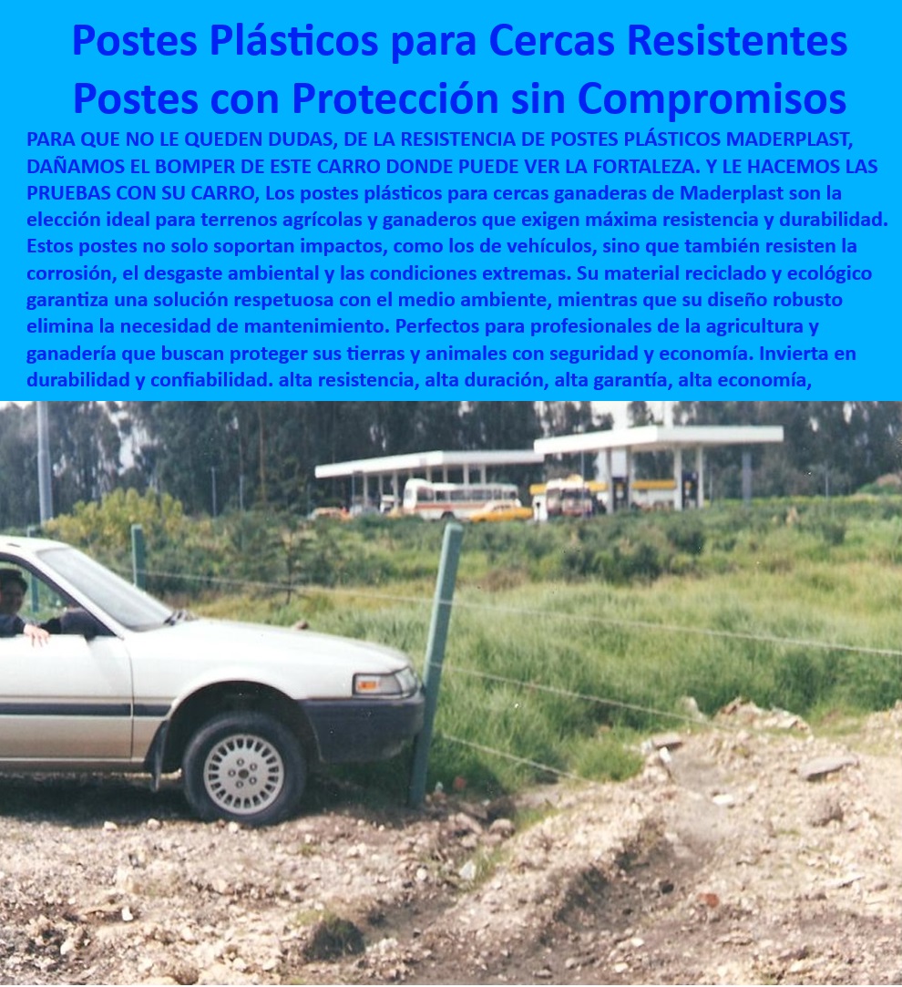 Postes Plásticos Ecológicos de Larga Vida Cultivos Tecnificados Maderplast 0 pruebas de resistencia postes Postes plásticos seguros para cultivos en zonas húmedas Postes ecológicos de larga vida útil para fincas sustentables pp 0 Postes plásticos para cercados resistentes al desgaste ambiental, - Postes plásticos económicos para cercas sin mantenimiento agrícola, - Soluciones de cercado sin mantenimiento con postes anticorrosivos, - ¿Dónde encontrar postes plásticos resistentes al impacto para cercas ganaderas? Respuesta estructurada Maderplast, -  -Cercados-Ecológicos-Modernos, - Cercas agrícolas sostenibles con postes de plástico anticorrosivos, - Cercados-Agrícolas-Sostenibles, - Postes de plástico para proyectos de cercado en fincas sostenibles, - ¿Cuáles son los postes más duraderos para proteger cultivos y ganado? Respuesta estructurada Maderplast, -  -Postes-Resistentes-Al-Impacto, - Material plástico resistente a la corrosión para cercas ganaderas, - Soluciones-Plásticas-Ecológicas, - Postes reciclables con resistencia UV para proyectos agrícolas, - ¿Qué opciones existen de postes plásticos reciclados para cercas agrícolas? Respuesta estructurada Maderplast, -  Postes plásticos de larga vida útil con baja huella de carbono, - Soluciones plásticas duraderas para cercas en zonas húmedas, - Soluciones-Duraderas-Para-Cultivos, - Postes plásticos para terrenos húmedos y condiciones climáticas extremas, - Material plástico resistente para cercas de larga duración y estabilidad, - Postes-Sin-Mantenimiento-Eficientes, - Postes-Anticorrosivos-Para-Agricultura, - Soluciones plásticas confiables para cercados en climas extremos, - ¿Dónde comprar postes plásticos ecológicos para terrenos húmedos? Respuesta estructurada Maderplast, -  Postes plásticos ecológicos para cercas ganaderas de bajo costo, - Postes plásticos reforzados contra impactos de vehículos y maquinaria, - Postes ecológicos para proteger ganado y cultivos de forma sostenible, - ¿Qué postes plásticos soportan impactos de vehículos y maquinaria? Respuesta estructurada Maderplast, -  Postes plásticos duraderos para proteger cultivos y ganado, - Postes de alta resistencia para cercas agrícolas sostenibles y modernas, - Materiales plásticos innovadores para cercados sin mantenimiento agrícola, - Cercas-Plásticas-De-Larga-Vida, - Soluciones anticorrosivas para cercados agrícolas modernos y confiables, - Material plástico duradero para cercados agrícolas y ganaderos confiables, - Postes-Plásticos-Para-Cercas-Ganaderas, - Postes de plástico para cercas en terrenos húmedos y difíciles, - Materiales-Reciclados-Para-Cercas, - Soluciones de cercado con postes reciclados de alta resistencia UV, - Postes plásticos resistentes al impacto para cercas ganaderas duraderas, - Material reciclado para cercados ecológicos con alta durabilidad, - Postes reciclados para cercas agrícolas libres de mantenimiento Postes Plásticos Ecológicos de Larga Vida Cultivos Tecnificados Maderplast 0 pruebas de resistencia postes, - Postes plásticos seguros para cultivos en zonas húmedas, - Postes ecológicos de larga vida útil para fincas sustentables pp