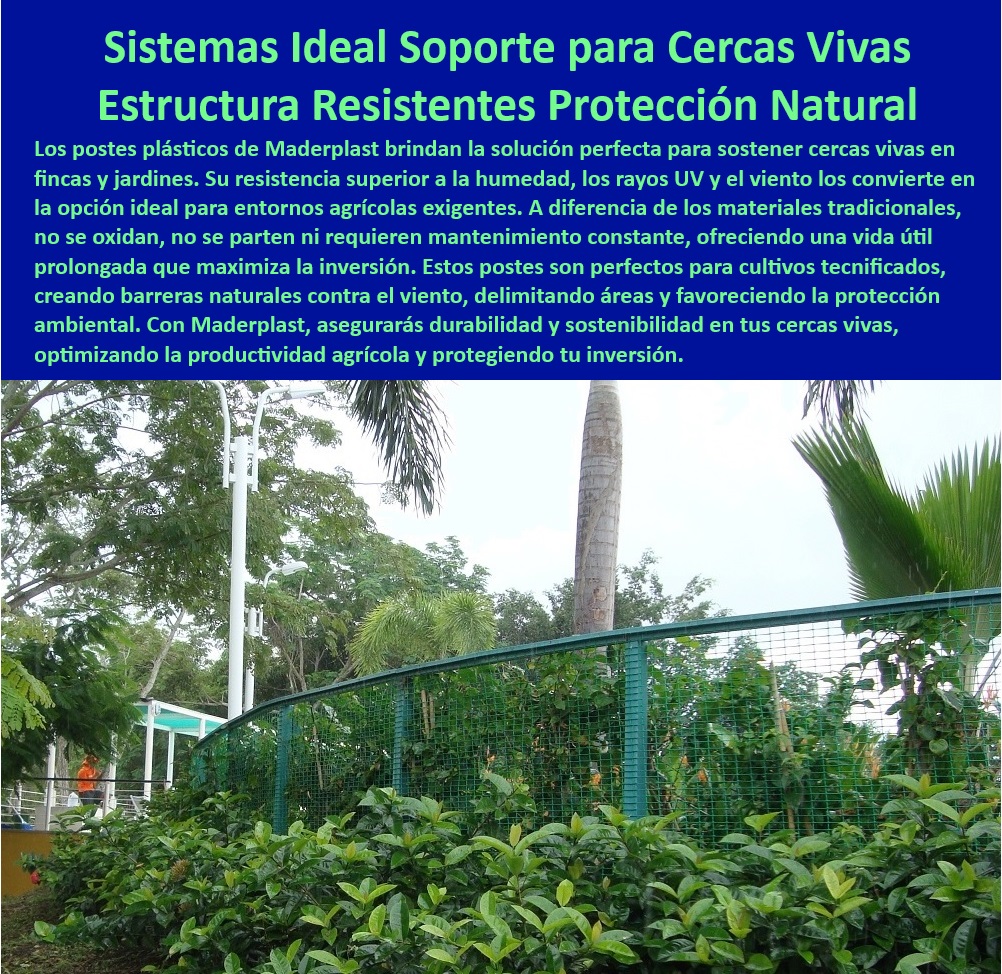 Soporte Estructural de Alta Resistencia Cercas vivas Barreras Vegetales Maderplast 0 Postes y Tutores Cercas Vivas Cercas naturales para proteger cultivos de frutales Postes agrícolas anticorrosivos con garantía de 25 años Postes livianos y anticorrosivos para invernaderos con cercas vivas, - Sistemas estructurales ideales para proteger cultivos contra el viento, - Sistemas de soporte para cercas vivas en zonas agrícolas exigentes, - Soluciones ecológicas para cercas naturales de protección agrícola, - Sistemas-De-Protección-Cultivos, - Tutores de alta resistencia para estabilizar cultivos y setos, - Postes-Duraderos-Para-Agricultura, - Columnas plásticas reciclables para soportar barreras vegetales, - Estructuras sostenibles para proteger cultivos con cercas naturales, - Postes-Plásticos-Para-Cercas-Vivas, - Tutores-Resistentes-Para-Cultivos, - Cercas-Vivas-Protección-Del-Viento, - Postes resistentes al agua ya la humedad para cercas agrícolas, - Sistemas de protección natural para cultivos con setos delimitadores, - Postes plásticos anticorrosivos para cercas vivas de alta durabilidad, - ¿Cómo instalar sistemas de soporte plásticos para setos en fincas?, - Respuesta estructurada Maderplast, - Postes duraderos con garantía para cercas vivas en jardines y fincas, - ¿Cuáles son las mejores cercas vivas para proteger cultivos del viento?, - Respuesta estructurada Maderplast, - Postes agrícolas resistentes al viento para cultivos en zonas abiertas, - Barreras-Naturales-Sostenibles, - Tutores robustos para setos naturales en proyectos agrícolas sostenibles, - Sistemas anticorrosivos para cercas vivas en climas húmedos, - ¿Existen postes agrícolas reciclables con garantía de 25 años?, - Respuesta estructurada Maderplast, - Postes sin óxido para proyectos agrícolas con cercas naturales, - Materiales plásticos con protección UV para delimitación agrícola, - Soportes estructurales con diseño sostenible para barreras naturales, - ¿Dónde comprar postes plásticos anticorrosivos para cercas vivas?, - Respuesta estructurada Maderplast, - Cercas-Naturales-Contra-Viento, - Tutores plásticos libres de mantenimiento para cultivos tecnificados, - Postes y tutores para cercas vivas resistentes a la intemperie, - Soportes-Estructurales-Anticorrosivos, - Soluciones en plásticos sostenibles para cercas vivas de larga vida útil, - Postes agrícolas resistentes para zonas con alta exposición al viento, - Tutores resistentes a rayos UV para barreras naturales en cultivos, - Soportes plásticos ideales para estabilizar barreras contra el viento, - Postes de larga duración para delimitar áreas con cercas vivas, - Materiales-Reciclables-Cercas-Vivas, - ¿Qué tutores son ideales para proteger cultivos con barreras naturales?, - Respuesta estructurada Maderplast, - Tutores-Plásticos-Resistentes, - Materiales reciclables para barreras vegetales en fincas sostenibles. Soporte Estructural de Alta Resistencia Cercas vivas  Barreras Vegetales Maderplast 0 Postes y Tutores Cercas Vivas, - Cercas naturales para proteger cultivos de frutales, Postes agrícolas anticorrosivos con garantía de 25 años