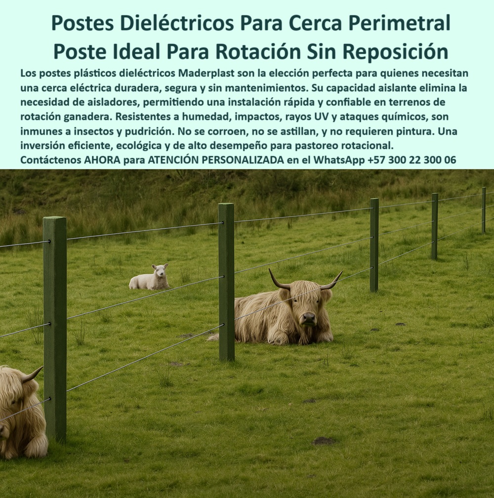 Cercados Con Alambre De Púas Postes Plásticos Púas Alambre Eléctrico Maderplast 0 poste plástico dieléctrico para cerca instalación de cerca perimetral con poste plástico Qué postes puedo usar si quiero rotar ganado sin cambiar  Esta imagen demuestra el verdadero valor de los postes plásticos dieléctricos Maderplast: contener sin esfuerzo tanto ganado bufalino como ovino dentro de una cerca electrificada, sin aisladores, sin concreto y sin deformaciones. Gracias a su composición resistente a impactos, rayos UV, químicos e insectos, los postes Maderplast son ideales para instalaciones permanentes en terrenos de rotación ganadera tecnificada. Su capacidad dieléctrica elimina la necesidad de aisladores, lo que ahorra tiempo, materiales y fallas eléctricas. Estos postes funcionan igual de bien en cercas perimetrales que en sistemas de división intensiva, haciendo posible una gestión eficiente del pasto y el espacio, sin necesidad de reemplazos. Fabricados en Colombia, son la mejor solución técnica y ecológica para cualquier ganadería moderna. Maderplast lo hace posible. LISTADO DE OTROS PRODUCTOS SIMILARES DE MADERPLAST:, - cerca electrificada sin aisladores con postes reciclados, - animales grandes y pequeños con mismo cercado resistente, - poste-plástico-para-ganado-mixto, - poste plástico inmune a ataques químicos y rayos UV, - poste plástico que no necesita reposición frecuente, - Poste ecológico para ovinos y vacunos en rotación., - poste plástico con resistencia comprobada a tensión, - ¿Qué poste puedo usar con ganado bufalino sin que se rompa?, - poste-plástico-para-ganado-mixto-perimetral-dieléctrico.jpg, - poste plástico para ovinos y bufalinos en simultáneo, - poste-plástico-para-pastoreo-rotacional, - poste plástico con instalación rápida sin concreto, - poste plástico para ganado de alto empuje, - cerca plástica para ganado con tensión uniforme, - ganado pesado contenido con poste plástico dieléctrico, - poste plástico para contener especies de diferente tamaño, - división segura con postes reciclables para finca, - Poste que sirve para electrificación ganadera mixta., - ¿Qué poste resiste ovejas y ganado pesado al mismo tiempo?, - poste plástico que soporta empujes sin quebrarse, - ¿Qué poste es ideal para dividir pastoreo de especies mixtas?, - sistema perimetral para rotación sin aisladores, - poste plástico con rendimiento superior en climas extremos, - poste plástico para dividir pastoreo mixto sin fallas, - poste plástico sin astillas ni corrosión, - poste-plástico-dieléctrico-sin-aislador, - poste plástico que no requiere pintura ni refuerzo, - pradera cercada con poste sin concreto ni pintura, - estructura de potrero con postes para varias especies, - poste plástico para cercado ecológico duradero, - poste plástico para rotación de ganado sin reemplazo, - Poste plástico para cercas sin aislador ni concreto., - poste plástico probado en ganado bufalino y caprino, - poste plástico dieléctrico hecho en Colombia, - poste-plástico-para-alta-carga-animal, - poste-plástico-sin-mantenimiento-durable, - poste plástico de alta ingeniería sin roturas, - Esta imagen demuestra el verdadero valor de los postes plásticos dieléctricos Maderplast: contener sin esfuerzo tanto ganado bufalino como ovino dentro de una cerca electrificada, sin aisladores, sin concreto y sin deformaciones. Gracias a su composición resistente a impactos, rayos UV, químicos e insectos, los postes Maderplast son ideales para instalaciones permanentes en terrenos de rotación ganadera tecnificada. Su capacidad dieléctrica elimina la necesidad de aisladores, lo que ahorra tiempo, materiales y fallas eléctricas. Estos postes funcionan igual de bien en cercas perimetrales que en sistemas de división intensiva, haciendo posible una gestión eficiente del pasto y el espacio, sin necesidad de reemplazos. Fabricados en Colombia, son la mejor solución técnica y ecológica para cualquier ganadería moderna. Maderplast lo hace posible. LISTADO DE OTROS PRODUCTOS SIMILARES DE MADERPLAST:, - Poste dieléctrico resistente a empuje de ganado mixto., - poste-plástico-perimetral-electrificado, - poste-plástico-humedad-y-uv, - poste-plástico-para-cerca-electrificada, - poste plástico diseñado para resistencia estructural, - poste plástico entre ovejas y toros sin romperse ni oxidarse, - poste plástico dieléctrico para finca ganadera sostenible, - poste plástico dieléctrico para ganado mixto, - poste plástico sin mantenimiento en cerca perimetral, - poste plástico para proyectos ganaderos tecnificados, - poste plástico ideal para electrificación rotacional, - poste plástico para instalaciones en zonas húmedas, - ¿Dónde comprar poste que no se oxida ni se astilla?, - poste-plástico-para-ovinos-y-bufalos, - Poste duradero para finca con múltiples especies animales., - poste plástico para cercas eléctricas sin aislador, - ¿Cuál es el mejor poste plástico dieléctrico sin aisladores?, - poste-plástico-para-potreros-mixtos, - poste plástico para fincas con ovinos y vacas0 Cercados Con Alambre De Púas Postes Plásticos Púas Alambre Eléctrico Maderplast 0 poste plástico dieléctrico para cerca, - instalación de cerca perimetral con poste plástico, - Qué postes puedo usar si quiero rotar ganado sin cambiar 