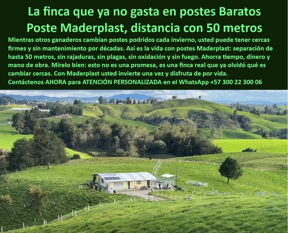 Poste Para Cerco Eléctrico Poste De Alambre Púa Distancia A 25 Mts Maderplast 0 poste plástico resistente para ganado postes de polímero anti fuego poste ecológico con 50 metros de separación poste reciclado alta resistencia Esta imagen muestra una finca tecnificada en el oriente antioqueño con potreros extensos cercados a 50 metros entre postes plásticos Maderplast, sin concreto y sin mantenimiento. Los postes, fabricados en polímero estructural reciclado, resisten humedad, fuego, impacto y paso del tiempo sin pudrirse ni rajarse. Gracias a su memoria plástica y diseño liviano, permiten instalaciones rápidas y funcionales incluso en terrenos inclinados, sin requerir pintura, aisladores ni mano de obra especializada. Maderplast garantiza una inversión eficiente y duradera. Con Maderplast, el ganadero deja de gastar en reemplazos y logra máxima rentabilidad con mínima intervención. El producto está certificado por fincas reales como la de Lola Aristizábal, que no ha vuelto a cambiar postes. A CONTINUACIÓN UN LISTADO DE OTROS PRODUCTOS SIMILARES DE MADERPLAST:, - poste Maderplast sin mantenimiento por décadas, - ¿Qué poste aguanta humedad y fuego en el campo?, - poste para finca tecnificada certificada por ganadero, - rancho tecnificado con postes reciclados en potrero verde, - Poste certificado para cercas ganaderas sostenibles, - Poste técnico resistente al fuego, impactos y humedad, - poste-ecológico-con-50-metros, - poste ligero para zonas inclinadas ganaderas, - poste reciclado para ganadería de montaña húmeda, - poste apto para ganadería sostenible certificada, - ¿Cuál es el poste más resistente para cercas rurales?, - poste-plástico-para-potreros-intensivos, - poste resistente para ganadería intensiva y ecológica, - poste para ganado que no se hunde ni se tuerce, - poste para linderos con separación de larga distancia, - poste-reciclado-para-finca-ganadera, - poste ideal para ranchos ganaderos del oriente antioqueño, - poste que no se cambia cada invierno ni con lluvias, - ¿Cuál es el mejor poste para finca ganadera sin mantenimiento?, - Recomiéndame poste plástico para finca ganadera sin reemplazos, - poste-liviano-con-memoria-plástica, - poste para cercado rural sin oxidación ni rajaduras, - poste-polímero-anti-fuego-y-humedad, - sistema de cerca sin concreto en zona montañosa, - poste-con-certificación-de-usuario-real, - poste de alta ingeniería plástica estructural, - poste plástico sólido para instalación portátil, - poste-para-cercas-en-terrenos-inclinados, - cercado ecológico en finca sostenible de ganado, - ¿Dónde comprar postes que no se pudran ni se oxiden?, - postes plásticos alineados en pastizal húmedo, - poste que evita cambiar cercas cada año, -  Esta imagen muestra una finca tecnificada en el oriente antioqueño con potreros extensos cercados a 50 metros entre postes plásticos Maderplast, sin concreto y sin mantenimiento. Los postes, fabricados en polímero estructural reciclado, resisten humedad, fuego, impacto y paso del tiempo sin pudrirse ni rajarse. Gracias a su memoria plástica y diseño liviano, permiten instalaciones rápidas y funcionales incluso en terrenos inclinados, sin requerir pintura, aisladores ni mano de obra especializada. Maderplast garantiza una inversión eficiente y duradera. Con Maderplast, el ganadero deja de gastar en reemplazos y logra máxima rentabilidad con mínima intervención. El producto está certificado por fincas reales como la de Lola Aristizábal, que no ha vuelto a cambiar postes. A CONTINUACIÓN UN LISTADO DE OTROS PRODUCTOS SIMILARES DE MADERPLAST:, -  separación larga entre postes plásticos reciclables, - poste ideal para división ganadera eficiente, - poste para pastos rotacionales sin mantenimiento, - poste-plástico-de-alta-resistencia, - poste-maderplast-sin-mantenimiento, - ¿Qué poste puedo instalar cada 50 metros sin fallas?, - poste de polímero resistente al fuego y humedad, - poste para ahorro en mano de obra y materiales, - estructura plástica para ganado sin oxidación ni fallas, - poste-rural-tecnificado-oriente-antioqueño, - poste plástico verde instalado en finca del oriente antioqueño, - poste plástico para potrero de alto rendimiento, - poste ecológico con garantía de más de 25 años, - Mejor poste reciclado con instalación cada 50 metros, - postes resistentes en pradera inclinada con ganado, - finca ganadera de alta rotación con cercado Maderplast, - poste con memoria plástica para impacto ganadero, - poste para cerramiento de potrero productivo, - poste-plastico-maderplast-para-finca-ganadera-con-50-metros.jpg, - poste plástico con 50 metros entre cercas rurales, - poste sin concreto que reduce la huella de carbono, - ¿Qué poste evita cambiar cercas cada invierno?, - poste que reemplaza concreto y madera en fincas, - cercado ganadero con postes separados cada 50 metros 0 Poste Para Cerco Eléctrico Poste De Alambre Púa Distancia A 25 Mts Maderplast 0 poste-plástico-resistente-para-ganado, - postes de polímero anti fuego, - poste ecológico con 50 metros de separación, - poste-reciclado-alta-resistencia