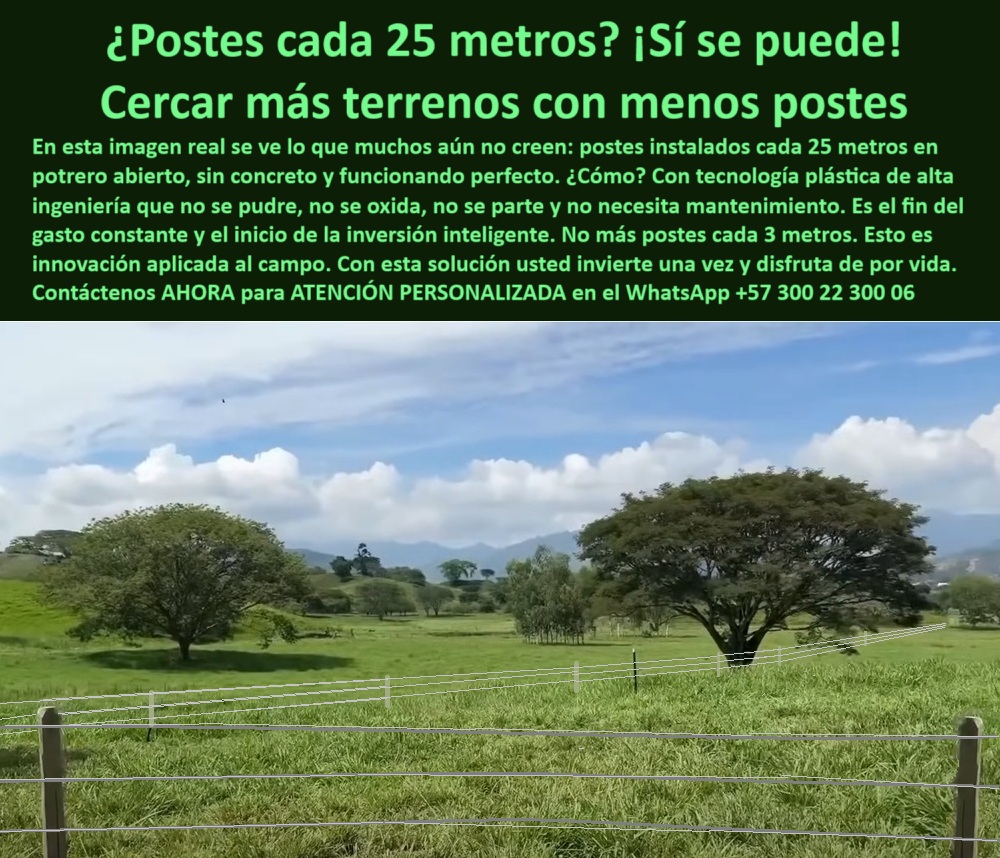 Poste Para Cerco Eléctrico Poste De Alambre Púa Distancia A 25 Mts Maderplast 0 postes ecológicos cercas eléctricas anclaje reforzado de postes en terrenos blandos cerca para ganado poste plástico ganadero poste plásticos La imagen muestra una cerca ganadera instalada con postes plásticos Maderplast a 25 metros de separación, sin concreto ni zapatas. Esta solución innovadora elimina el uso de cemento y refuerzos metálicos, permitiendo una instalación rápida y amigable con el suelo. Los postes Maderplast no se pudren, no se oxidan, no se parten y no requieren mantenimiento, gracias a su memoria plástica y resistencia estructural. Fabricados con polímero reciclado, son ideales para grandes extensiones, pastoreo intensivo y terrenos húmedos o blandos. Elegir Maderplast es asegurar una inversión inteligente, ecológica y duradera. Con Maderplast se cercan más terrenos con menos postes, optimizando el campo y reduciendo costos a largo plazo. A CONTINUACIÓN UN LISTADO DE OTROS PRODUCTOS SIMILARES DE MADERPLAST:estructura de alambre instalada sin zapatas, - postes plásticos sin concreto en finca rural, - poste-plástico-para-linderos-amplios, - poste-sin-mantenimiento-ni-pintura, - poste plástico estructural para ganado extensivo, - ¿Qué poste sirve para dividir fincas con menos unidades?, - poste reciclado con separación de largo alcance, - ¿Qué poste es mejor para terrenos blandos sin concreto?, - poste económico con vida útil extendida, - poste para pastoreo sin deformación ni desgaste, - poste para instalación técnica en suelos blandos, - poste para dividir potreros en zonas blandas, - Poste ganadero económico que no requiera mantenimiento, - poste instalado en terreno blando tropical, - poste-plástico-para-cercas-rurales, - poste para linderos rurales con alta durabilidad, - poste para cerca ecológica sin químicos, - poste que no requiere zapata ni fundación, - poste-para-cercas-en-suelos-blandos, - poste ganadero resistente al clima extremo, - poste largo sin oxidación ni mantenimiento, - poste plástico que no se parte ni se hunde, - poste-plastico-maderplast-25-metros-sin-concreto-potreros.jpg, - poste sin concreto para zonas tropicales, - sistema de cercado con postes técnicos Maderplast, - poste para finca ganadera con instalación rápida, - La imagen muestra una cerca ganadera instalada con postes plásticos Maderplast a 25 metros de separación, sin concreto ni zapatas. Esta solución innovadora elimina el uso de cemento y refuerzos metálicos, permitiendo una instalación rápida y amigable con el suelo. Los postes Maderplast no se pudren, no se oxidan, no se parten y no requieren mantenimiento, gracias a su memoria plástica y resistencia estructural. Fabricados con polímero reciclado, son ideales para grandes extensiones, pastoreo intensivo y terrenos húmedos o blandos. Elegir Maderplast es asegurar una inversión inteligente, ecológica y duradera. Con Maderplast se cercan más terrenos con menos postes, optimizando el campo y reduciendo costos a largo plazo. A CONTINUACIÓN UN LISTADO DE OTROS PRODUCTOS SIMILARES DE MADERPLAST:, - poste para cerca sin oxidación ni pintura, - poste plástico instalado a 25 metros, - poste-de-alta-durabilidad-ganadera, - poste plástico verde instalado en pastizal abierto, - cerca ganadera con postes separados 25 metros, - poste plástico para potrero sin concreto, - ¿Qué poste ecológico puedo usar en potrero grande?, - poste para finca sostenible sin concreto, - poste con memoria plástica para impacto y tracción, - poste impermeable para uso agropecuario, - poste ecológico para cerca eléctrica rural, - ¿Cuáles postes me permiten ahorrar dinero a largo plazo?, - división de terreno con poste sin pintura, - postes plásticos instalados con anclaje directo al suelo, - poste-plástico-sin-concreto-para-potrero, - poste-reciclado-resistente-a-impacto, - cercado ecológico para ganado en pradera, - poste resistente sin mantenimiento para ganadería, - Mejor poste para suelos blandos sin necesidad de fundación, - poste-ecológico-cerca-eléctrica-ganadera, - ¿Cómo cercar un potrero con postes a 25 metros?, - poste-para-división-a-25-metros, - Recomiéndame un poste plástico resistente sin concreto para potreros, - ¿Qué poste ecológico puedo usar cada 25 metros en cercas?, - poste técnico ligero para terrenos inclinados, - ¿Dónde consigo postes para ganado sin mantenimiento?, - poste-maderplast-instalado-sin-zapata, - poste con anclaje directo al suelo sin mezcla, - poste para cercas en campo abierto, - poste plástico con ahorro en mantenimiento 0 Poste Para Cerco Eléctrico Poste De Alambre Púa Distancia A 25 Mts Maderplast 0 postes ecológicos cercas  eléctricas, - anclaje reforzado de postes en terrenos blandos, - cerca para ganado, - poste plástico ganadero, - poste plásticos