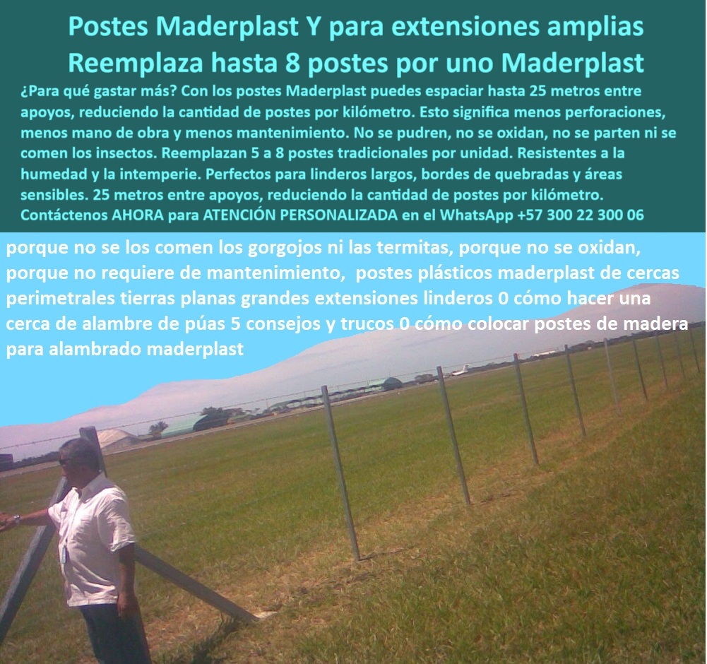 Postes Para Conservación De Cuencas Poste Forestal Ecológico Reciclable Maderplast 0 Postes resistentes a la humedad Postes para bordes de quebradas Postes para protección de flora nativa Postes para zonas geotécnicas complejas Postes Para Conservación De Cuencas En esta imagen se demuestra cómo los postes Maderplast permiten construir cercas seguras, duraderas y eficientes para grandes extensiones rurales. Estos postes plásticos ecológicos Maderplast se instalan hasta cada 25 metros, con cuerda múltiple, sin necesidad de concreto, pintura ni mantenimiento. Resistentes a humedad, sol, impactos y plagas, son ideales para bordes de quebradas, zonas agrícolas planas y protección de flora nativa. Una sola inversión sustituye 5 a 8 postes tradicionales, optimizando cada kilómetro con innovación real. LISTADO DE OTROS PRODUCTOS SIMILARES DE MADERPLAST:, - postes de concreto para cercas en zonas blandas, - poste-plastico-multiple-cuerda-grandes-extensiones-maderplast.jpg, - poste-para-grandes-extensiones, - poste plástico múltiple cuerda seguridad perimetral, - poste para cerramiento técnico de fincas extensas, - poste para linderos rurales de bajo mantenimiento, - poste-ecológico-de-larga-vida, - poste plástico para cerca de grandes extensiones, - sistema de cercado ganadero con postes sin mantenimiento, - poste-para-quebradas-y-linderos, - ¿Cuál es el mejor poste para alambrado ganadero de 25 metros?, - poste perimetral resistente a la humedad y gorgojos, - poste-dieléctrico-para-alambre, - sistema de cerca plástica de alto rendimiento en campo abierto, - cerca múltiple con postes plásticos a 25 metros de distancia, - ¿Qué poste me permite reducir hasta ocho apoyos por kilómetro?, - postes plásticos reemplazan concreto y madera en llanura, - ¿Qué poste plástico reemplaza el concreto y madera en cercas?, - ¿Qué poste puedo usar para cercar terrenos muy grandes?, - poste-que-reemplaza-ocho, - poste dieléctrico para alambrados eléctricos rurales, - poste-plástico-múltiple-cuerda, - poste técnico Maderplast para división rural, - ¿Cómo cercar grandes fincas sin mantenimiento continuo?, - poste-para-cercas-perimetrales, - poste liviano con alta resistencia estructural, - poste de cerca múltiple con bajo costo operativo, - poste que no requiere pintura ni tratamiento, - poste resistente a termitas y ambientes agresivos, - ¿Cómo ahorrar en postes para cercas ganaderas grandes?, - ¿Cuáles son los postes más durables para alambrado rural?, - poste de polímero estructural para zonas amplias, - poste para alambrado ganadero de alta resistencia, - En esta imagen se demuestra cómo los postes Maderplast permiten construir cercas seguras, duraderas y eficientes para grandes extensiones rurales. Estos postes plásticos ecológicos Maderplast se instalan hasta cada 25 metros, con cuerda múltiple, sin necesidad de concreto, pintura ni mantenimiento. Resistentes a humedad, sol, impactos y plagas, son ideales para bordes de quebradas, zonas agrícolas planas y protección de flora nativa. Una sola inversión sustituye 5 a 8 postes tradicionales, optimizando cada kilómetro con innovación real. LISTADO DE OTROS PRODUCTOS SIMILARES DE MADERPLAST:, - postes de cerca plástica con larga vida útil, - línea de postes Maderplast para ganadería extensiva, - Poste ideal para dividir potreros en llanura con cuerda múltiple, - poste-ganadero-resistente-humedad, - postes que reemplazan hasta ocho tradicionales, - poste plástico estructural para cercas de varios alambres, - postes para linderos largos sin mantenimiento, - división de potrero con postes plásticos sobre pasto plano, - cerca de seguridad rural con postes a gran distancia, - poste para zonas con pendiente baja o media, - poste ideal para seguridad agropecuaria continua, - postes ecológicos para bordes de quebradas, - cerca técnica en zona plana con postes ecológicos reciclados, - postes alineados con cuerda múltiple sobre terreno rural, - poste-reciclado-sin-mantenimiento, - postes reciclables para pastoreo racional intensivo, - ¿Qué poste no se oxida ni se parte para zonas húmedas?, - poste para alambrado de alta distancia entre apoyos, - poste con memoria plástica para múltiples tensores, - postes sólidos para suelos húmedos o salinos, - postes para reducción de costos por kilómetro, - ¿Qué poste aguanta más tensión para alambrado múltiple?, - poste-para-división-agropecuaria Poste Forestal Ecológico Reciclable Maderplast 0 Postes resistentes a la humedad, - Postes para bordes de quebradas, Postes para protección de flora nativa, - Postes para zonas geotécnicas complejas