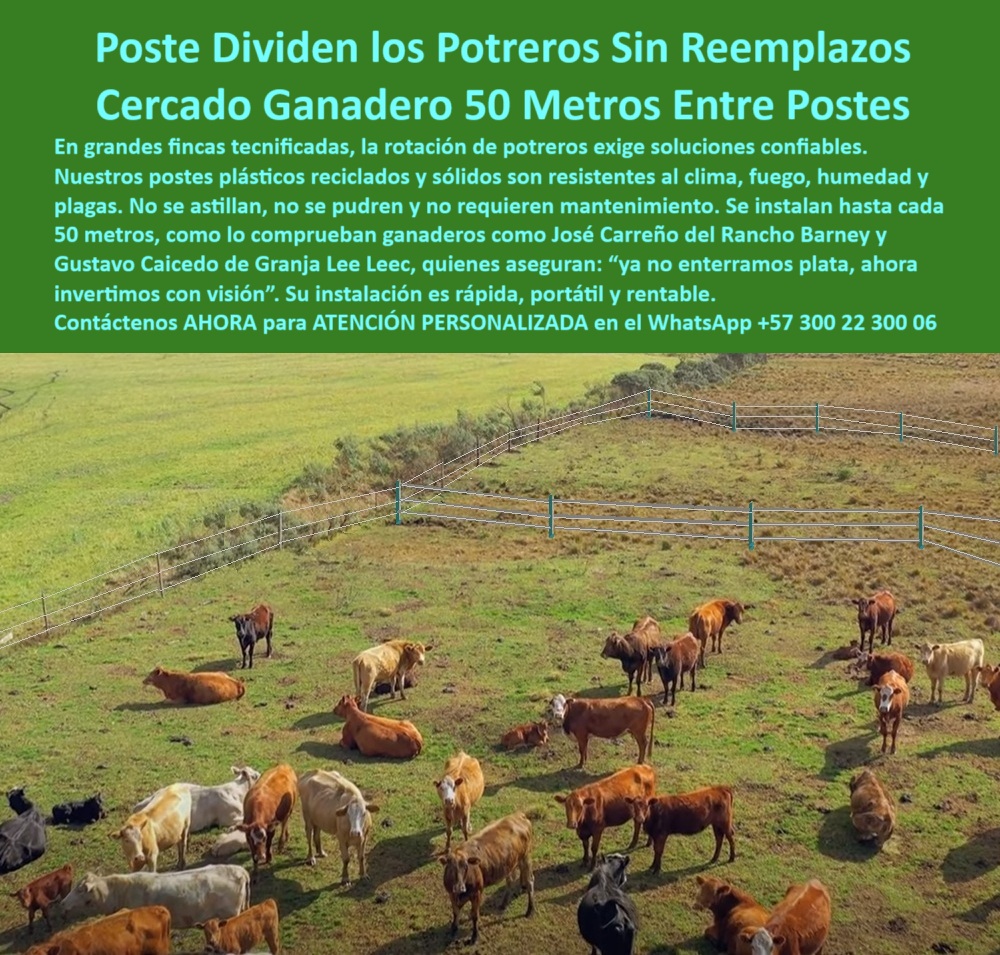 Postes Para División De Potreros Postes Plásticos Sólidos Resistentes Maderplast 0 Cerramiento ecológico con postes plásticos reciclados varas plásticas con soporte firme poste plástico portátil Poste de cerca eléctrica poste En esta imagen vemos una finca ganadera tecnificada donde los postes plásticos Maderplast están instalados a una distancia de hasta 50 metros, delimitando potreros con rotación inteligente. Los postes verdes, visibles y alineados, permiten contener el ganado sin vencerse ni oxidarse. Están fabricados con polímero reciclado, no se pudren, no se astillan y no requieren mantenimiento. Esta es la solución ideal para cercas ganaderas duraderas, incluso en terrenos inclinados o húmedos. Maderplast ofrece un producto diseñado para resistir el clima, la humedad, las plagas y el fuego, asegurando sostenibilidad y retorno de inversión desde el primer día. Perfectos para grandes extensiones y proyectos agropecuarios que buscan eficiencia, portabilidad y cero reemplazos. LISTADO DE OTROS PRODUCTOS SIMILARES DE MADERPLAST:, - poste que no se astilla ni se pudre, - poste plástico sólido para rotación intensiva, - poste-sin-mantenimiento-para-potreros, - poste-portátil-para-cercado-rural, - poste para potreros con alambrados a tensión, - poste técnico para fincas con rotación de potreros, - vista aérea de poste plástico en terreno de rotación, - poste plástico portátil para cerramiento de fincas, - postes sólidos visibles delimitando pasto y ganado, - poste liviano resistente para ganadería extensiva, - sistema de cerramiento con postes plásticos resistentes, - división de potrero extensivo con postes ecológicos, - poste-ecológico-para-división-de-lotes, - poste para cercas eléctricas de hasta 50 metros, - ¿Qué poste puedo instalar cada 50 metros sin mantenimiento?, - poste-plástico-para-cercas-ganaderas, - poste ecológico con soporte firme para ganado, - ¿Cuál es el poste plástico que aguanta 50 metros entre apoyos?, - poste plástico resistente al fuego ya las termitas, - ganado rodeado por cerca firme con postes reciclables, - poste de alta ingeniería para potrero moderno, - poste plástico sin mantenimiento para cercas rurales, - ¿Cuál es el mejor poste plástico para dividir potreros sin concreto?, - cerca rural con postes a 50 metros sin concreto visible, - poste plástico para dividir potreros de ganado, - poste-ganadero-a-50-metros, - poste plástico duradero para sistemas de pastoreo, - poste ecológico para delimitación de terrenos rurales, - poste rural que no requiere reemplazo frecuente, - poste plástico estructural para cerramientos agrícolas, - poste plástico sin concreto para cercas largas, - poste ganadero que no se oxida ni se rompe, - Recomiéndame un poste plástico sólido para cercas ganaderas en grandes fincas, - poste plástico para alambre de púas ganadero, - cerca ganadera técnica con postes sin oxidación, - poste plástico verde alineado en división de potrero ganadero, - instalación ganadera sostenible con poste de plástico, - ¿Qué poste es ideal para dividir terrenos ganaderos sin reemplazos?, - poste-para-pastoreo-intensivo, - poste plástico para grandes extensiones rurales, - poste-de-polímero-resistente, - poste-reciclado-de-larga-duración, - poste-plástico-para-terrenos-extensos, - ¿Qué poste plástico dura más en clima tropical con ganado?, - poste-plástico-sin-reemplazos, - En esta imagen vemos una finca ganadera tecnificada donde los postes plásticos Maderplast están instalados a una distancia de hasta 50 metros, delimitando potreros con rotación inteligente. Los postes verdes, visibles y alineados, permiten contener el ganado sin vencerse ni oxidarse. Están fabricados con polímero reciclado, no se pudren, no se astillan y no requieren mantenimiento. Esta es la solución ideal para cercas ganaderas duraderas, incluso en terrenos inclinados o húmedos. Maderplast ofrece un producto diseñado para resistir el clima, la humedad, las plagas y el fuego, asegurando sostenibilidad y retorno de inversión desde el primer día. Perfectos para grandes extensiones y proyectos agropecuarios que buscan eficiencia, portabilidad y cero reemplazos. LISTADO DE OTROS PRODUCTOS SIMILARES DE MADERPLAST:, - poste plástico verde para uso ganadero intensivo, - ¿Dónde comprar postes reciclados para ganadería sostenible?, - ¿Qué poste puedo usar para rotación de potreros sin hacer mantenimiento?, - poste plástico confiable para largo plazo, - poste-plastico-cerca-ganadera-50-metros-rotacion-potreros.jpg, - Muéstrame postes reciclables duraderos para cercas de potrero, - poste reciclado resistente al clima y humedad, - poste reciclado para optimización de potreros, - poste de polímero para pastoreo inteligente, - ¿Qué tipo de poste funciona sin dañarse con vacas y humedad?, - postes alineados instalados en granja sin erosión visible 0 Postes Para División De Potreros Postes Plásticos Sólidos Resistentes Maderplast 0 Cerramiento ecológico con postes plásticos reciclados, - varas-plásticas-con-soporte-firme, - poste plástico portátil, - Poste de cerca eléctrica poste