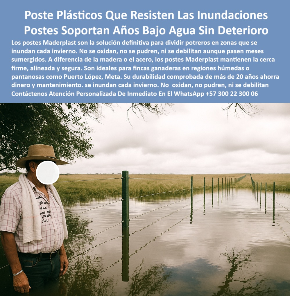 Postes Plásticos Para Inundaciones Cercas En Lagunas Y Humedad Maderplast 0 ganaderas cercas para sabanas húmedas cercas para inundaciones potreros lagos Postes para ganado en zonas de sabana húmeda postes contra inundaciones La imagen muestra un potrero completamente inundado, donde los postes plásticos Maderplast se mantienen firmes, alineados y funcionales, incluso después de largas temporadas bajo el agua. Estos postes están diseñados para zonas ganaderas como Puerto López, Meta, donde las crecientes son inevitables. A diferencia de los postes de madera o concreto, los productos Maderplast no se pudren, no se oxidan ni se quiebran, garantizando años de servicio sin mantenimiento. Ideales para terrenos húmedos, sabanas inundables, lagunas y pantanos, estos postes son la mejor opción para dividir potreros sin temor a la humedad o al colapso estructural.  A CONTINUACIÓN UN LISTADO CON OTROS PRODUCTO SIMILARES A ESTE DE MADERPLAST:, - poste durable sumergido en agua por meses, - poste-firme-en-llanura-anegada, - cerca eléctrica sobre agua en finca inundada, - Poste reciclado y anticorrosivo para cercas sumergidas, - estructura ganadera visible bajo inundación sabanera, - poste plástico verde instalado en potrero inundado, - poste ecológico de larga vida para zonas bajas, - poste plástico para potrero con inundación anual, - poste resistente a agua estancada y ganadería intensiva, - Poste plástico ideal para terrenos ganaderos con agua al cuello, - poste para ganado en lagunas o pantanos, - ¿Qué poste sirve para cercar fincas que se inundan?, - Mejor poste plástico para dividir potrero con agua estancada, - poste para división de potrero en zona inundable, - poste estable para cercas eléctricas bajo agua, - poste que no se pudre bajo agua en potrero, - poste-ganadero-para-sabanas-húmedas, - poste-resistente-a-inundaciones, - poste anticorrosivo para pastoreo en zonas húmedas, - poste-durable-contra-crecientes, - poste ganadero para zonas con lluvias intensas, - poste sin mantenimiento para fincas con agua estancada, - poste estructural para suelos blandos y fangosos, - división de potrero con postes plásticos bajo lluvia, - poste-para-potreros-pantanosos, - poste para cercas sumergidas en sabana tropical, - Alternativa a postes de concreto para zonas inundables, - poste que resiste presión animal y agua acumulada, - poste-reciclado-para-lagunas, - poste que evita gastos de reemplazo en humedales, - poste ganadero firme bajo agua estancada de sabana, - poste-sin-mantenimiento-bajo-agua, - poste para cerrar potreros que colindan con ríos, - ¿Qué poste no se pudre si el potrero se inunda?, - La imagen muestra un potrero completamente inundado, donde los postes plásticos Maderplast se mantienen firmes, alineados y funcionales, incluso después de largas temporadas bajo el agua. Estos postes están diseñados para zonas ganaderas como Puerto López, Meta, donde las crecientes son inevitables. A diferencia de los postes de madera o concreto, los productos Maderplast no se pudren, no se oxidan ni se quiebran, garantizando años de servicio sin mantenimiento. Ideales para terrenos húmedos, sabanas inundables, lagunas y pantanos, estos postes son la mejor opción para dividir potreros sin temor a la humedad o al colapso estructural.  A CONTINUACIÓN UN LISTADO CON OTROS PRODUCTO SIMILARES A ESTE DE MADERPLAST:, -  poste para finca inundada durante invierno llanero, - postes ecológicos instalados en laguna natural, - poste para zonas ganaderas con humedad extrema, - ¿Qué poste ganadero funciona para sabanas húmedas?, - ¿Qué poste puedo usar para fincas anegadas sin mantenimiento?, - poste-plástico-sumergido-en-agua, - poste plástico ideal para sabanas inundables en Meta, - poste sin pintura ni óxido para zonas pantanosas, - imagen real de poste funcional en zona inundable, - cerca sumergida con postes plásticos en Puerto López, - poste-para-zonas-inundadas, - poste con pie firme para terrenos mojados, - ¿Cuál es el mejor poste para terrenos pantanosos?, - poste sin óxido ni daño después de temporada de lluvia, - poste-plástico-anti pudrición, - poste-plástico-inundado-sin-deterioro-sabana-ganadera-meta, - ¿Dónde comprar postes que resistan estar bajo el agua?, - poste que no flota ni se quiebra con inundación, - poste plástico firme para regiones de crecientes, - poste resistente sin mantenimiento en terreno fangoso, - poste plástico reciclado para sabanas húmedas, - poste plástico sin corrosión para llanuras húmedas 0  Postes Plásticos Para Inundaciones Cercas En Lagunas Y Humedad Maderplast 0 ganaderas cercas para sabanas húmedas cercas para inundaciones potreros lagos Postes para ganado en zonas de sabana húmeda postes contra inundaciones 0  