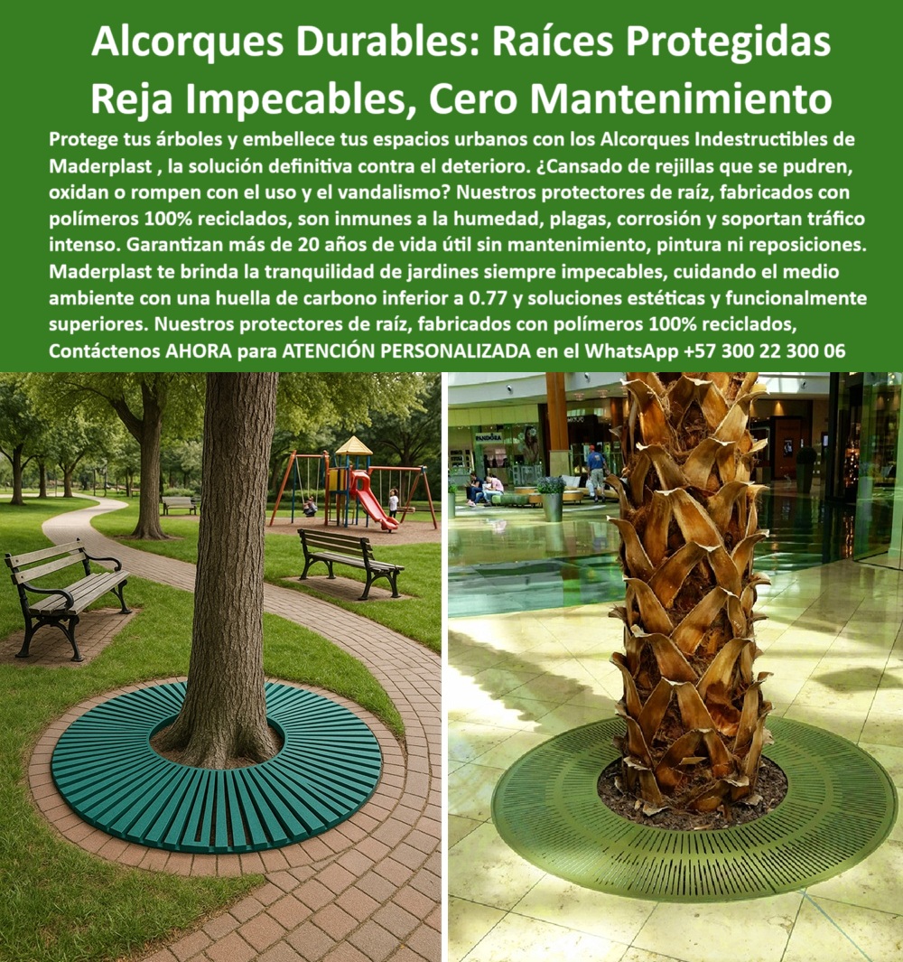Alcorques Indestructibles Para Árboles Rejilla Anti Raíz Protectores Raíces Maderplast 0 Alcorques resistentes vandalismo material irrompible protege Cercas vivas sin reposición inversión única por décadas Senderos ecoló 0  Alcorques Indestructibles Para Árboles Rejilla Anti Raíz Protectores Raíces Maderplast 0, - Alcorques resistentes vandalismo material irrompible protege, - Cercas vivas sin reposición inversión única por décadas, - Senderos ecoló