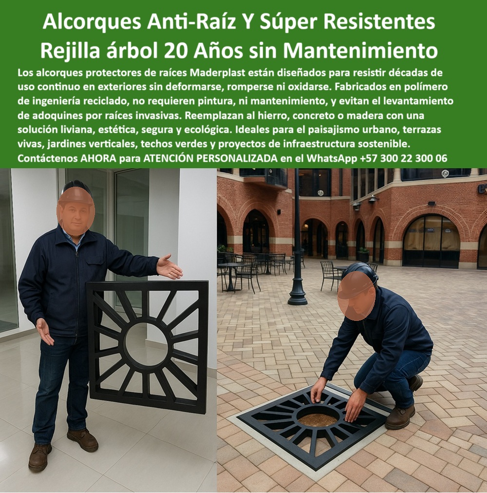 Alcorques Indestructibles Para Árboles Rejilla Anti Raíz Protectores Raíces Maderplast 0 Materas alta durabilidad uso continuo sin deterioro Protectores raíces urbanos sin pintura cero reparaciones Construcción sostenible 0  Alcorques Indestructibles Para Árboles Rejilla Anti Raíz Protectores Raíces Maderplast 0, -  Materas alta durabilidad uso continuo sin deterioro, - Protectores raíces urbanos sin pintura cero reparaciones, Construcción sostenible