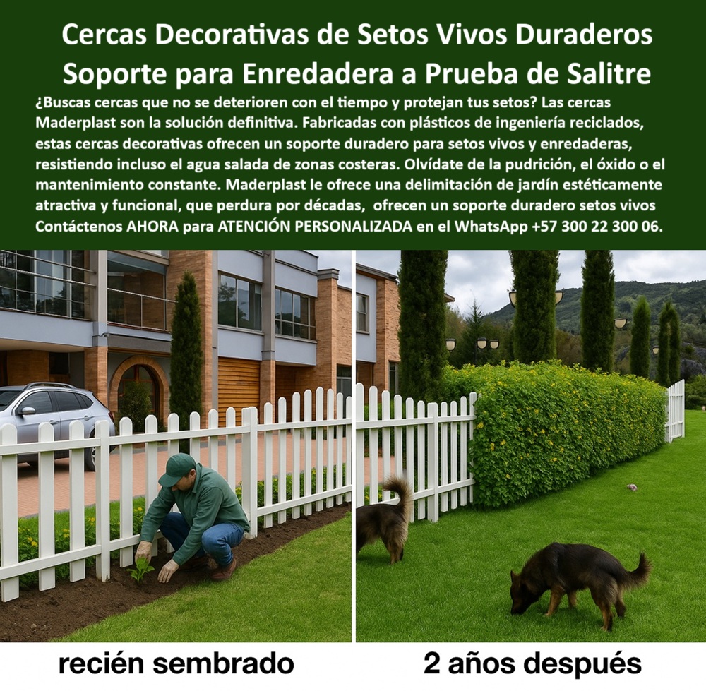 Cercas Decorativas Soporte Para Setos Vivos Duraderos Cercas Exteriores Maderplast 0 Cercas Decorativas Soporte para Setos Vivos Duraderas Soporte para enredaderas a prueba de agua salada costera Delimitación jardines Cerca 0  Cercas Decorativas Soporte Para Setos Vivos Duraderos Cercas Exteriores Maderplast 0 Cercas Decorativas Soporte para Setos Vivos Duraderas Soporte para enredaderas a prueba de agua salada costera Delimitación jardines Cerca
