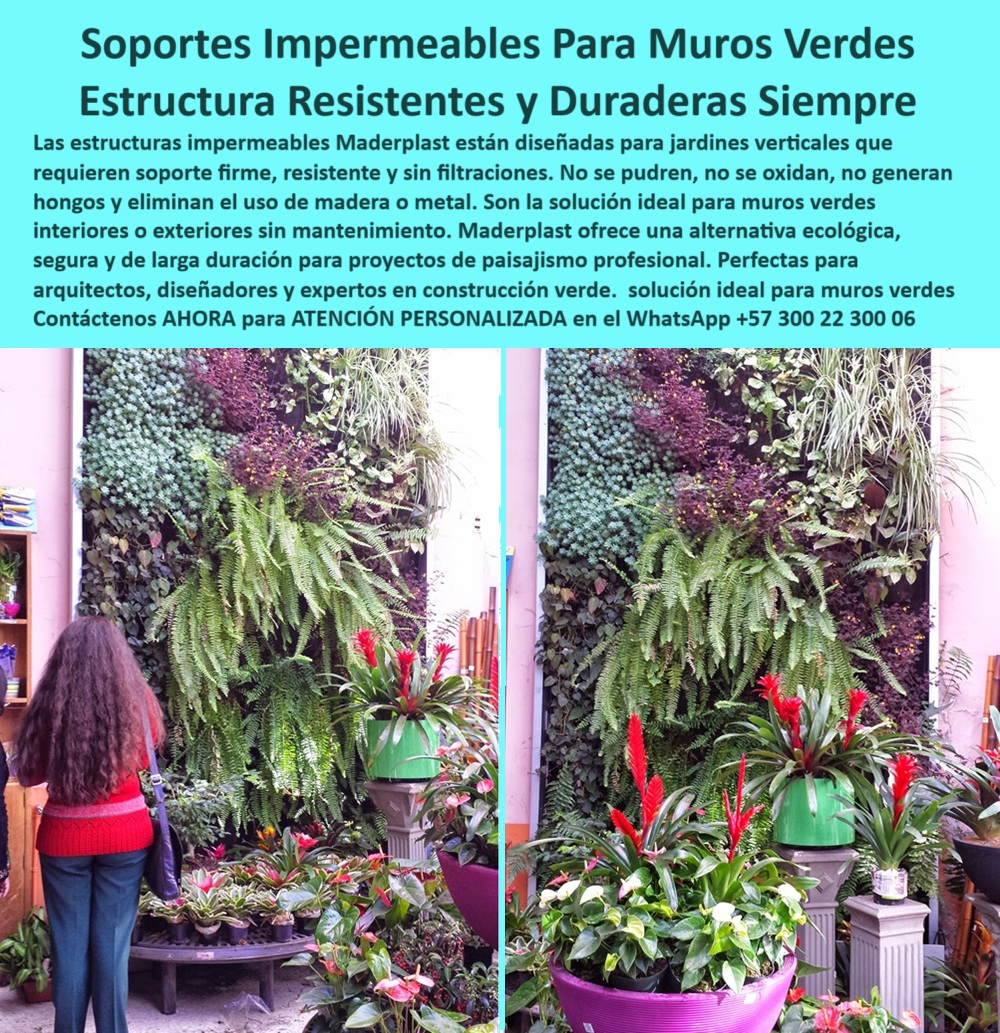 Estructuras Jardines Verticales Muros laminas Impermeables estructurales Maderplast 0 Soportes Muro Vivo Duraderos Estructuras Jardines Verticales Muros Verdes Impermeables laminas y soportes estructurales Estructuras Jardines 0  Estructuras Jardines Verticales Muros laminas Impermeables estructurales Maderplast 0 Soportes-Muro-Vivo-Duraderos, - Estructuras Jardines Verticales Muros Verdes Impermeables laminas y soportes estructurales Estructuras Jardines