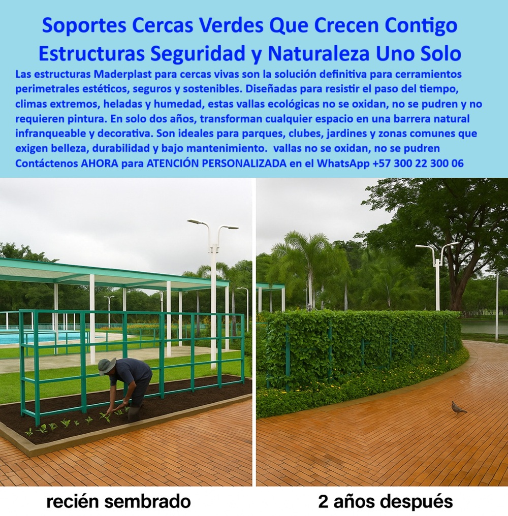 Estructuras Verdes Soporte Jardines Verticales Cercas Decorativas Durables Maderplast 0 Cerramientos perimetrales anti robo soluciones robustas Estructuras exteriores para clima extremo soportan heladas Paneles Vallas vivas 0  Estructuras Verdes Soporte Jardines Verticales Cercas Decorativas Durables Maderplast 0 Cerramientos perimetrales anti robo soluciones robustas, - Estructuras exteriores para clima extremo soportan heladas, - Paneles Vallas vivas