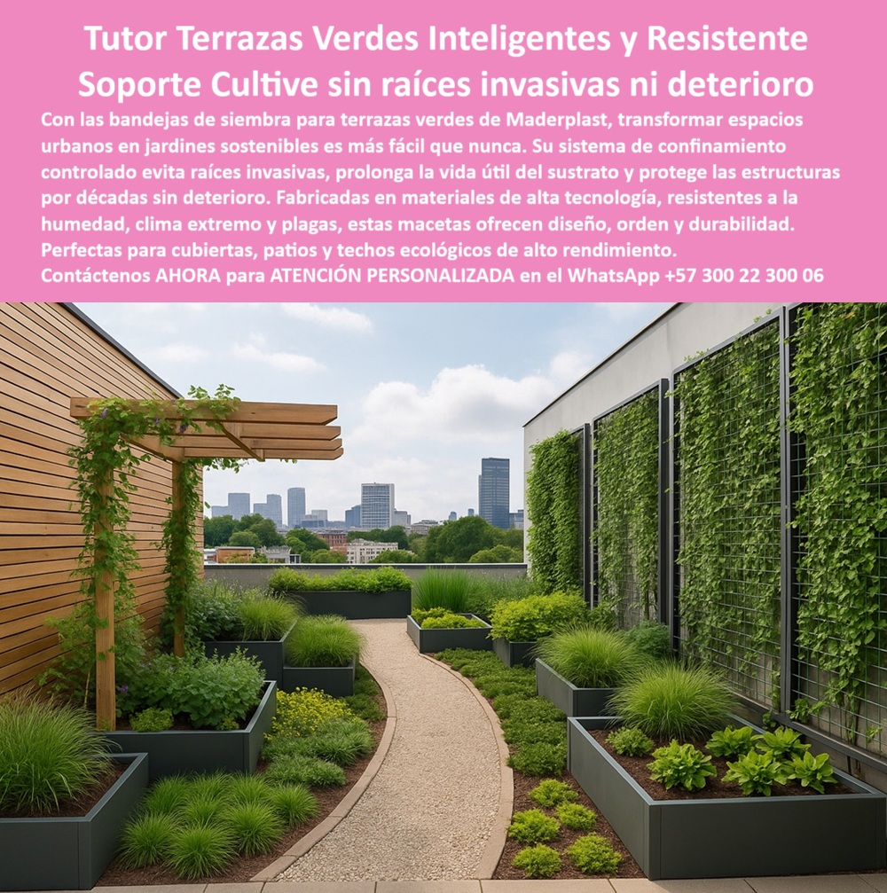 Jardines Hidropónicos Controlados Bandejas Siembra Terrazas Macetas Maderplast 0 Bandejas Siembra Terrazas Verdes Confinamiento jardines urbanos sin deterioro por décadas Subsuelos controlados siembra evitan raíces invasiva 0  Jardines Hidropónicos Controlados Bandejas Siembra Terrazas Macetas Maderplast 0 Bandejas Siembra Terrazas Verdes, - Confinamiento jardines urbanos sin deterioro por décadas, - Subsuelos controlados siembra evitan raíces invasiva