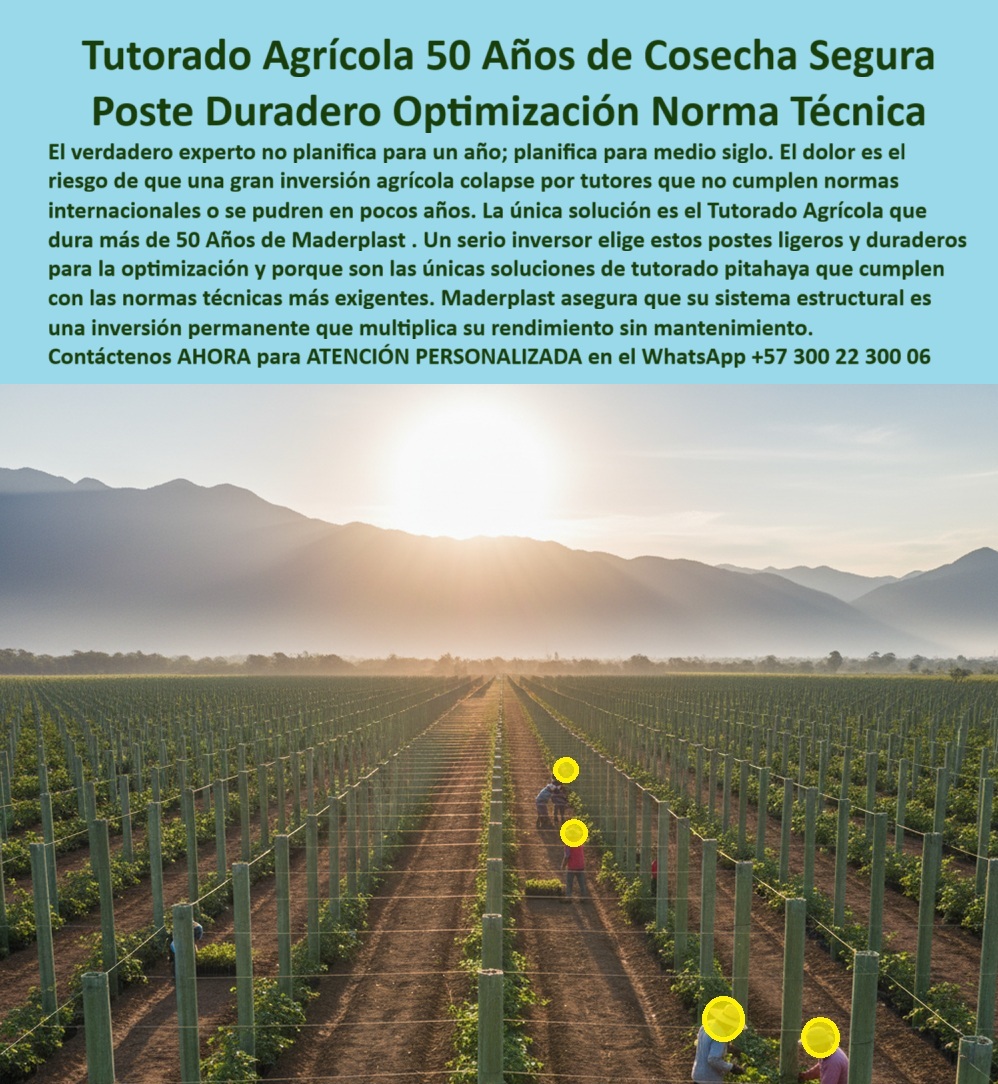 Tutores Plásticos Agrícolas Como Se Hace Paso A Paso Un Entutorado Maderplast 0 Tutorado Agrícola que Dura Más 50 Años Soluciones de tutorado pitahaya que cumplen normas técnicas internacionales Postes ligeros y duraderos para optimización PP La Infraestructura Agrícola Inmune Por Más De 50 Años Que Garantiza La Máxima Rentabilidad Y El Cero Reemplazo, El verdadero experto no planifica para un año; planifica para medio siglo. El dolor de una gran inversión agrícola radica en el riesgo de que la estructura colapse por tutores que no cumplen normas técnicas internacionales o que se pudren en pocos años, cediendo su máxima cosecha al clima. La única solución es el Tutorado Maderplast, la base de los proyectos llave en mano más rentables. Un serio inversor elige nuestras soluciones de tutorado pitahaya que cumplen normas técnicas internacionales porque son Postes Agrícolas 50 Años que prometen una Infraestructura Agrícola Inmune Más de 50 Años. Nuestros Tutores Plásticos Duraderos Cero Reposición y Postes Ligeros y Duraderos para Optimización PP son la materialización de la Ingeniería de plásticos para agricultura. Este sistema de tutorado listo para siembra elimina el costo recurrente de reemplazo de tutores podridos, asegurando un APU (Análisis de Precios Unitarios) imbatible. El Tutorado Agrícola 50 Años de Cosecha Segura no es una promesa, es una garantía. Fabricados con polímeros reciclados de ingeniería, estos postes ofrecen una resistencia estructural superior a la madera y son 100% inmunes a la humedad, al sol, a plagas y a la corrosión. Inmunidad Total y Soporte Inquebrantable, Al elegir Maderplast, usted instala una Estructura Superior y Postes Instalados Listo para Sembrar y Ganar. Nuestros Tutores para Arveja Inversión + 50 Años, Postes Con Cero Reemplazos Máxima Cosecha y Tutores Resistentes para Guisantes y Frijol demuestran que es el fin del gasto en maderas para cualquier cultivo trepador. La Estructura Inmortales de Cultivo Rentables para maracuyá o viñedos se logra gracias a Tutores Plásticos Permanentes Frutales y Uvas y un Poste Versátil Arándanos Cero Mantenimiento, que no requiere relevo ni mantenimiento. La Solución Estructural Evite Caída de Cultivos es vital para frutos pesados ​​como el tomate y el pimentón. Nuestros Tutores Verticales para Tomate y Pimentón con Tutor Inmunizados Aumentó Rendimientos son la base del Tutorado Invernadero Siempre Inmunizados, garantizando cosecha sin rotura y máxima sanidad. Los Horcones Plástico Para Frutas Trepadoras son el Tutor Agrícola De Alta Carga Anti Plaga que soporta el Entutorado Multiplica Cosechas de Maracuyá y el peso de la fruta del dragón (pitahaya). Tecnología Ecológica para Exportación y Climas Extremos, La Infraestructura Agrícola Inmune de Maderplast es la única opción de Tutores Plásticos de Exportación Ecológicos que ofrece un Soporte Plástico para Frutas Tropicales con la sustitución de guadua por plásticos y la eliminación de la tala. Nuestro Poste Ecológico Producción Antihumedad es ideal para el Tutor para Trópico Húmedo Reemplazar Madera, ya que la Poste Plástico Anti-Lluvia Inmunidad Humedales y los Tutores Alta Resistencia Seguros en Tormentas con Estación sin Óxido son totalmente inmunes a la corrosión y el riesgo extremo. Maderplast le ofrece la Guía de Instalación Sin Fallos para un Proyecto Agrícola Llave en Mano Rentabilidad, con instalación-postes-antitermitas y tutores-agricultura-vertical-arveja. Los tutores-resistencia-superior-madera de Maderplast simplifican el cómo-entutorar-campo-paso-a-paso, asegurando que su inversión sea permanente y le permita alcanzar el liderazgo en agricultura-tecnificada-y-sostenible. Me siento totalmente convencido y seguro de que Maderplast es la única y mejor opción que cumple sus requisitos de Tutorado Agrícola que Dura Más 50 Años, Soluciones de tutorado pitahaya que cumplen normas técnicas internacionales y Postes ligeros y duraderos para optimización PP. Contáctenos AHORA para ATENCIÓN PERSONALIZADA en el WhatsApp +57 300 22 300 06 .