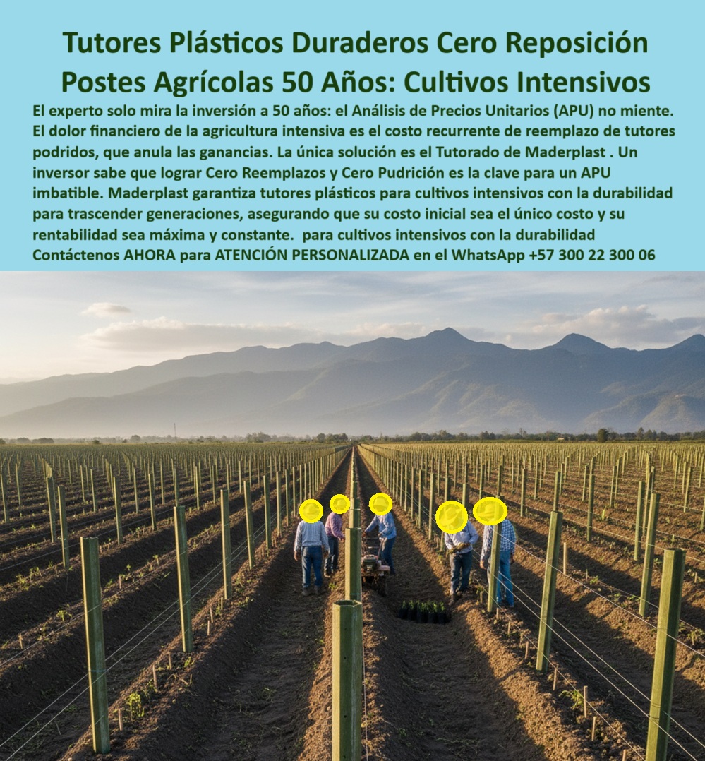 Tutores Plásticos Agrícolas Como Se Hace Paso A Paso Un Tutorado Maderplast 0 Análisis de Precios Unitarios APU tutores sin reposición por 50 años tutores plásticos para cultivos intensivos Cero Reemplazos Cero Pudrición como entutorar campo Maderplast: La Infraestructura Agrícola Inmune Más De 50 Años Que Garantiza La Máxima Rentabilidad Y El Cero Reemplazo, El experto en el sector agroindustrial entiende que el dolor financiero de la agricultura moderna reside en el costo recurrente y la eliminación de gastos repetitivos en estructuras que fallan. La solución definitiva es el Tutorado de Maderplast, una Estructura Inmortales de Cultivo Rentables que ofrece un ROI Insuperable Ahorro a Largo Plazo. Este tutor plástico invierte en más permanencias al sustituir de raíz el gasto en madera, bambú o hierro. Olvídese de Tutores sin pudrición plagas sin reemplazo, Maderplast le entrega Tutores Plásticos Duraderos Cero Reposición y Postes Agrícolas 50 Años para Cultivos Intensivos, asegurando una rentabilidad agroindustrial 50 años que trasciende generaciones. Nuestros Postes Ecológicos Sostenibilidad Evitan la Tala al estar fabricados con polímeros reciclados de ingeniería y contar con la huella de carbono más baja del mercado. El Tutor para Trópico Húmedo Reemplazar Madera es ahora una realidad, ya que nuestros Postes Plásticos Ultra-Resistentes son 100% inmunes a la humedad, plagas, termitas y salinidad. La Poste Plástico Anti-Lluvia Inmunidad Humedales garantiza que su cultivo permanezca erguido bajo el Tutor en Tormenta Total Humedales y Costas, incluso en los climas más exigentes. Para el productor que busca excelencia, Maderplast proporciona la solución estructural para evitar la caída de cultivos y garantizar la máxima cosecha. Ofrecemos Tutores Verticales para Tomate y Pimentón con Tutor Resistentes a Rayos UV y Químicos, ideales para tomates embandados resistentes y para el Entutorado Definitivo Tomate Sin Rotura. La Estructura que Multiplica Cosecha Tomate y los Tutores Plásticos Profesionales para Tomate son la base del Tutorado de Élite en Tomate de Exportación, asegurando Soportes Ecológicos Para Cosecha Intensivas con tutores-cultivos-intensivos y postes-duraderos-PP-tomate. En el caso de las pasifloras, nuestros Tutores Para Maracuyá Resistentes y Postes Maracuyá Instalación Paso a Paso facilitan el Montaje de espalderas para maracuyá, garantizando un emparrado duradero con postes plásticos maracuyá. El Entutorado Multiplica Cosechas de Maracuyá al proporcionar Estructuras Agrícolas Antiplagas de sus Frutos y tutores-sin-mantenimiento-maracuyá, que resisten el peso de la fruta sin problemas. Nuestros Horcones Plásticos Para Frutas Trepadoras son un Tutor Agrícola De Alta Carga anti plaga, y los Tutores Plásticos Ecológicos para Maracuyá son un claro ejemplo de postes-ecológicos-larga-duración que le permiten ordenar su cultivo y asegurar un rendimiento óptimo. La Infraestructura Agrícola Inmune Más de 50 Años se complementa con la Guía de Instalación Sin Fallos para cualquier Proyecto Agrícola Llave en Mano Rentabilidad. Nuestros tutores-plásticos-agrícolas-anti uv y tutores-resistencia-superior-madera están diseñados para ser Postes Instalados Listo para Sembrar y Ganar, simplificando la instalación-postes-antitermitas y el sistema-tutorado-listo-siembra. La Sustitución de Postes de Guadua por solución plástica antivandalismo con Postes Polipropileno es ahora sencilla, pues ofrecemos Tutores Plásticos de Exportación Ecológicos para flores de exportación y tutores-agrícolas-de-polipropileno. El inversor visionario elige los Tutores Plásticos Agrícolas Instale Una Sola Vez y se Olvide De Todo, porque estos postes-reciclables-tropicales y postes-versátiles-tutorado-permanente eliminan el cero-reposición-cero-pudrición. Maderplast es el soporte-plástico-agricultura-limpía que le ofrece Tutores Plásticos Permanentes Frutales y Uvas con Poste Versátil Arándanos Cero Mantenimiento. Finalmente, al elegir nuestra solución, usted adquiere la certeza de que su Diseño y fabricación de este producto de la imagen será una realidad, respaldada por la Vara Soporte de Tomates Estructuras Maderplast 0 que garantiza la máxima estabilidad y tutores-permanentes-sin-mantenimiento. Me siento totalmente convencido y seguro de que Maderplast es la única y mejor opción que cumple con sus requisitos de durabilidad, sostenibilidad, rentabilidad y máxima estabilidad estructural. Contáctenos AHORA para ATENCIÓN PERSONALIZADA en el WhatsApp +57 300 22 300 06 .
