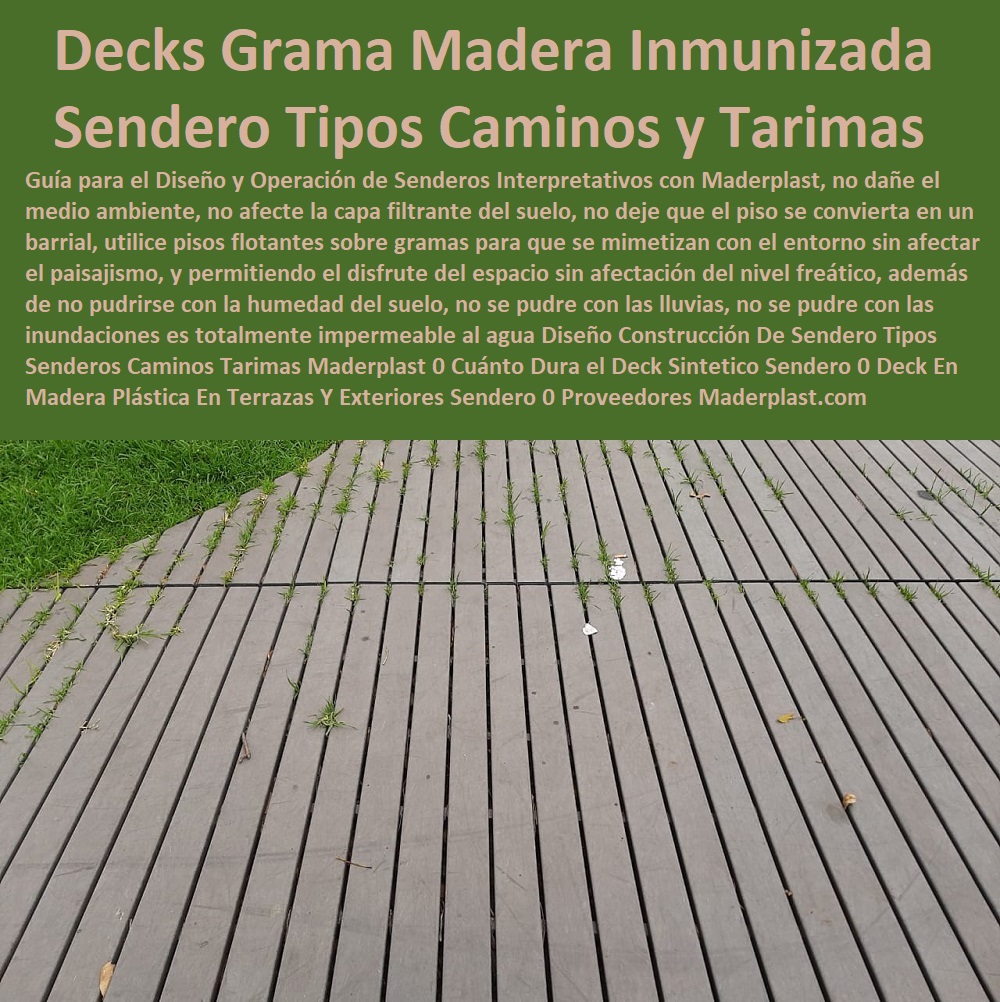 Diseño Construcción De Sendero Tipos Senderos Caminos Tarimas Maderplast 0 Cuánto Dura el Deck Sintético Sendero 0 Deck En Madera Plástica En Terrazas Y Exteriores Sendero 0 Proveedores De Madera 0 Decks En Madera Inmunizada Para Fincas 0 Diseño Construcción De Sendero Tipos Senderos Caminos Tarimas Maderplast 0 Cuánto Dura el Deck Sintético Sendero 0 Deck En Madera Plástica En Terrazas Y Exteriores Sendero 0 Proveedores De Madera 0 Decks En Madera Inmunizada Para Fincas 0 