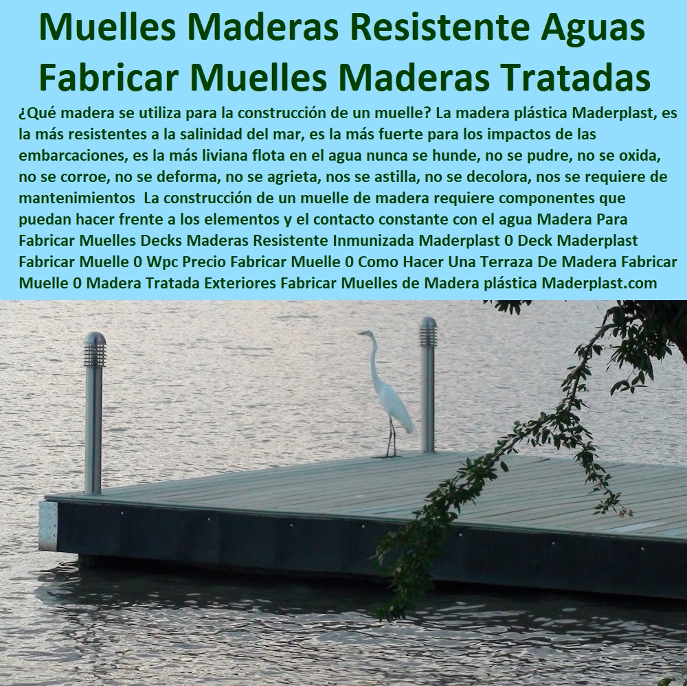 Madera Para Fabricar Muelles Decks Maderas Resistente Inmunizada Maderplast 0 Deck Maderplast Fabricar Muelle 0 Wpc Precio Fabricar Muelle 0 Como Hacer Una Terraza De Madera Fabricar Muelle 0 Madera Tratada Exteriores Fabricar Muelles 0 Madera Para Fabricar Muelles Decks Maderas Resistente Inmunizada Maderplast 0 Deck Maderplast Fabricar Muelle 0 Wpc Precio Fabricar Muelle 0 Como Hacer Una Terraza De Madera Fabricar Muelle 0 Madera Tratada Exteriores Fabricar Muelles 0