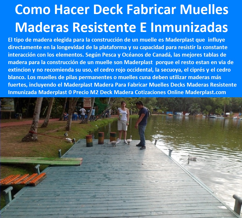 Madera Para Fabricar Muelles Decks Maderas Resistente Inmunizada Maderplast 0 Precio M2 Deck Madera Cotizaciones Online Fabricar Muelles 0 Fabrica Madera Plástica Colombia Fabricar Muelles 0 Como Hacer Deck De Madera Fabricar Muelles 00 Madera Para Fabricar Muelles Decks Maderas Resistente Inmunizada Maderplast 0 Precio M2 Deck Madera Cotizaciones Online Fabricar Muelles 0 Fabrica Madera Plástica Colombia Fabricar Muelles 0 Como Hacer Deck De Madera Fabricar Muelles 00