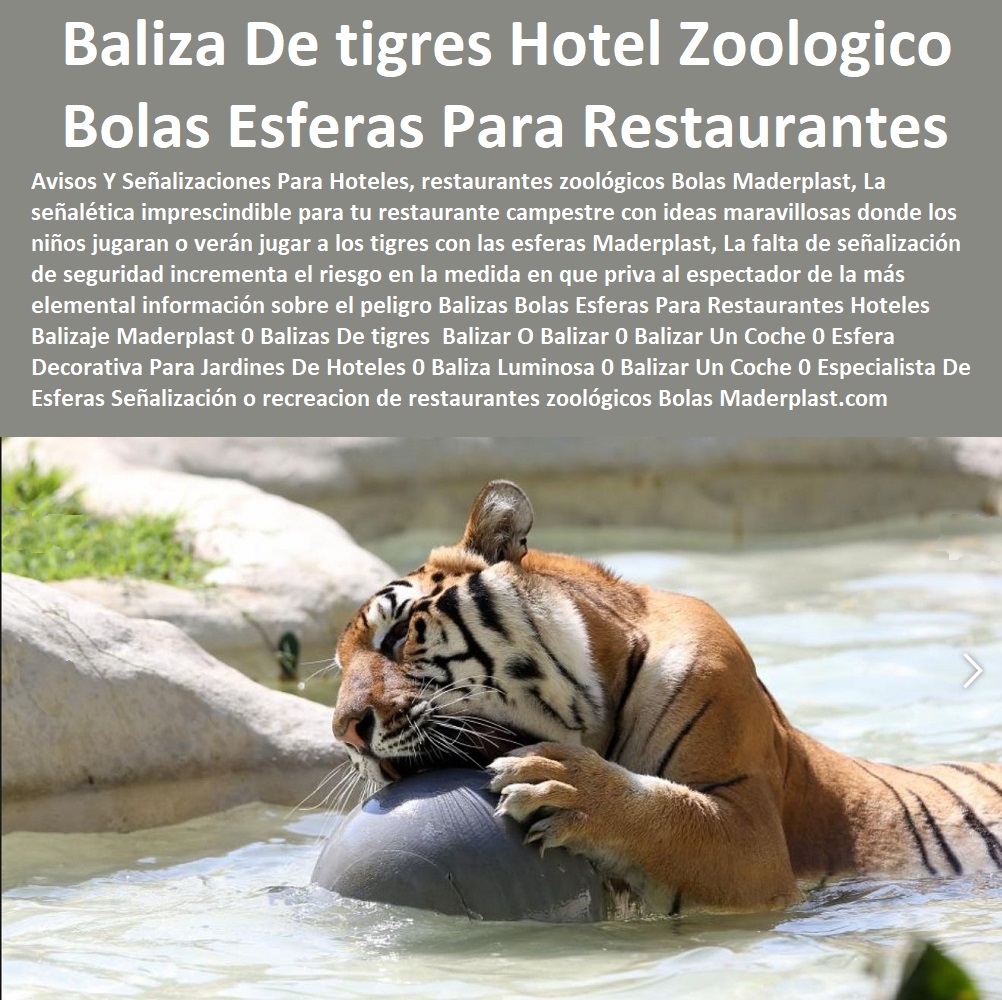 Balizas Bolas Esferas Para Restaurantes Hoteles Balizaje Maderplast 0 Balizas De tigres Balizar O Balizar 0 Balizar Un Coche 0 Esfera Decorativa Para Jardines De Hoteles 0 Baliza Luminosa 0 Balizar Un Coche 0 Especialista De Esferas Señalización 0 Balizas Bolas Esferas Para Restaurantes Hoteles Balizaje Maderplast 0  Catálogo Hotelera Turismo Recreación 0 Equipamiento Turístico 0 Infraestructura Equipamiento E Instalaciones Recreativas 0 Dotaciones Hotel Campestre 0 Mantenimiento Piscinas Playas 0 Sillas Alojamientos 0 Muebles Reparaciones 0 Parques Acuático 0 Infraestructura Centro Recreativo 0 Decoración Parques Temáticos 0 Partes Y Repuestos Juegos Temáticos 0 Proyectos Casinos Juegos De Muebles 0 Balizas De tigres  Balizar O Balizar 0 Balizar Un Coche 0 Esfera Decorativa Para Jardines De Hoteles 0 Baliza Luminosa 0 Balizar Un Coche 0 Especialista De Esferas Señalización