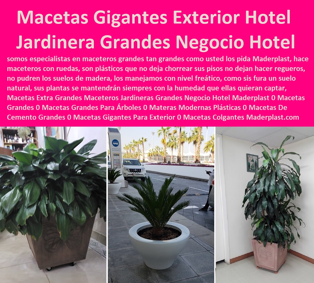 Macetas Extra Grandes Maceteros Jardineras Grandes Negocio Hotel Maderplast 0 Macetas Grandes 0 Macetas Grandes Para Árboles 0 Materas Modernas Plásticas 0 Macetas De Cemento Grandes 0 0 Catálogo Hotelera Turismo Recreación 0 Equipamiento Turístico 0 Infraestructura Equipamiento E Instalaciones Recreativas 0 Acero Inoxidables Reparaciones 0 Mobiliario Locativos Reformas 0 Reconstrucciones Arreglos 0 Equipos Para Sedes Recreativas 0 Diseño Y Desarrollo De Proyectos 0 Proyectos Recreativos Interactivos 0 Macetas Gigantes Para Exterior 0 Macetas Colgantes Macetas Extra Grandes Maceteros Jardineras Grandes Negocio Hotel Maderplast 0 Macetas Grandes 0 Macetas Grandes Para Árboles 0 Materas Modernas Plásticas 0 Macetas De Cemento Grandes 0 Macetas Gigantes Para Exterior 0 Macetas Colgantes