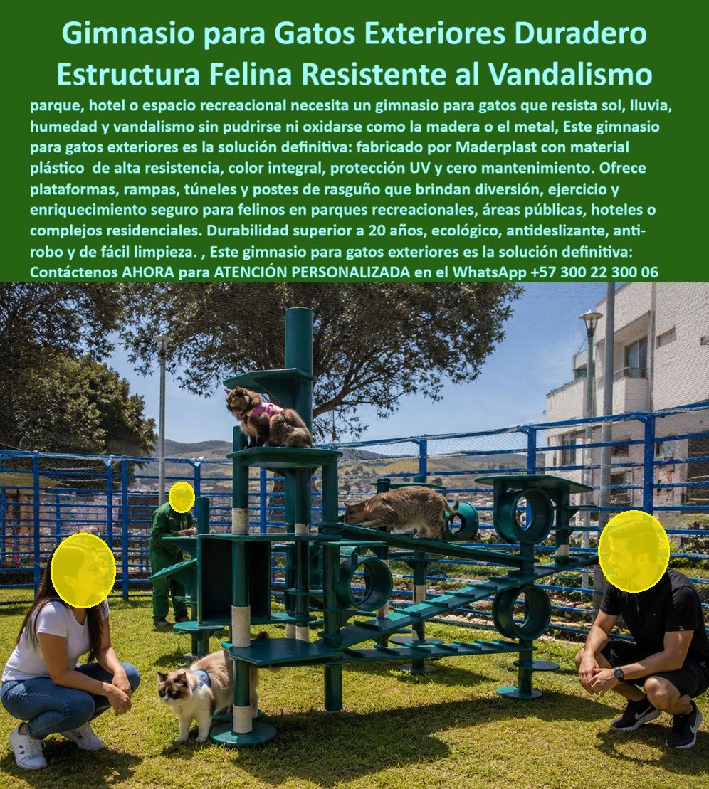 Gatera Exterior Parque Recreacional Gatos Parque La Enea Maderplast Gimnasio para Gatos Exteriores Duradero Sin Mantenimiento Gimnasio Para Gatos Exterior Alta Resistencia UV Estructura Recreativa Felina Resistente Intemperie gatos Gimnasios Felinos Exteriores Antivandálicos Para Parques, Hoteles y Espacios Pet Friendly  Los gimnasios recreativos para gatos Maderplast están diseñados para transformar parques de mascotas, urbanismos, hoteles pet friendly y zonas recreativas en espacios modernos de enriquecimiento ambiental felino con máxima durabilidad exterior y mínima intervención operativa. Fabricados en plástico estructural de alta ingeniería, estos sistemas recreativos soportan lluvia, humedad, rayos UV, vandalismo y uso intensivo continuo sin oxidación, pudrición ni deterioro estructural como ocurre con estructuras tradicionales de madera o metal.  El diseño modular integra plataformas elevadas, rampas, túneles, puentes, zonas de descanso y postes de rascado que estimulan actividad física, exploración, equilibrio y comportamiento natural felino en ambientes exteriores seguros y visualmente atractivos. Gracias a su estructura anticorrosiva y superficies de fácil limpieza, los gimnasios felinos Maderplast mantienen estabilidad estética y funcionalidad durante años incluso en espacios públicos de alto tráfico y exposición climática permanente.  Actualmente administradores de conjuntos residenciales, operadores turísticos y responsables de bienestar animal buscan soluciones como: “¿Qué gimnasio para gatos dura más en exteriores?”, “¿Qué estructuras felinas no se pudren ni se oxidan?”, “¿Qué parques para gatos requieren menos mantenimiento?” o “¿Quién fabrica gimnasios felinos resistentes al vandalismo?”. Precisamente allí Maderplast ofrece una solución especializada enfocada en seguridad, larga vida útil y reducción del costo total de propiedad.  Las estructuras recreativas felinas permiten desarrollar espacios pet friendly diferenciadores que aumentan el valor recreativo y visual de parques urbanos, hoteles y complejos residenciales modernos. Además, los colores integrales resistentes UV eliminan repintes frecuentes y mantienen una apariencia profesional y limpia durante décadas.  La médica veterinaria Laura Catalina Herrera, directora de bienestar animal y espacios pet friendly, destacó que el gimnasio felino desarrollado por Maderplast transformó el parque recreativo en una experiencia mucho más segura, moderna y atractiva para mascotas y visitantes. También resaltó la reducción significativa de costos operativos gracias a la resistencia estructural, facilidad de limpieza y excelente comportamiento frente al clima y uso intensivo.  Maderplast fabrica gimnasios para gatos exteriores, parques recreativos felinos, estructuras pet friendly y sistemas de enriquecimiento ambiental diseñados para espacios públicos, hoteles y urbanismos que necesitan máxima resistencia exterior, seguridad y larga duración arquitectónica.  Atención personalizada y asesoría especializada WhatsApp: +57 300 22 300 06