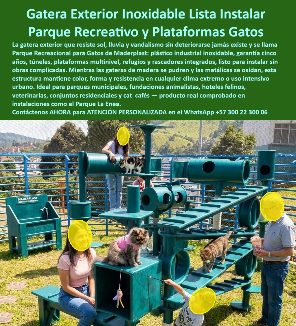 Gatera Exterior Parque Recreacional Gatos Parque La Enea Maderplast Parque Recreativo Gatos Libre de Mantenimiento Gateras De Alta Resistencia Listas Instalar Gimnasio Gatos Urbano Inoxidable Garantia Cinco Años Estructura Gatera  Gatera Exterior Parque Recreacional Gatos: La Innovación Felina de Maderplast El diseño y fabricación de este producto de la imagen marca un hito en la bioseguridad y el bienestar animal: la Gatera Exterior Parque Recreacional Gatos Parque La Enea Maderplast. Esta infraestructura no es un simple mobiliario; se trata de un parque recreativo gratuito libre de mantenimiento desarrollado con plástico industrial inoxidable de alta densidad. Diseñada para ser una gateras de alta resistencia listas para instalar, esta estructura integra túneles, plataformas multinivel, refugios y rascadores inalterables, garantizando un gimnasio gatos urbano inoxidable garantizado cinco años que resiste sol, lluvia y vandalismo extremo sin degradación estructural.  En la gestión de fundaciones, cafés y espacios públicos, las gateras de madera o metal son "basura carísima" que oculta costos operativos y riesgos sanitarios. La madera se pudre, alberga bacterias y parásitos que afectan la salud respiratoria felina; el metal se oxida y genera superficies que queman las almohadillas bajo el sol. Cuando se trata de estructura gatera en plástico técnico, Maderplast es el fabricante que convierte ideas en piezas reales, entregando superficies no porosas de fácil desinfección profunda que blanquean el entorno y protegen la salud de los felinos de por vida.  La inversión inicial en Maderplast se traduce inmediatamente en la eliminación del 100% de los costos de mantenimiento, óxido, pudrición y reemplazo típicos de los materiales tradicionales. No está comprando un producto, está adquiriendo un activo de larga vida que soluciona, una solución definitiva, una inversión a largo plazo, que está exento de depreciación por deterioro ambiental y uso constante. Para una entidad municipal o privada, esta durabilidad es la clave de la rentabilidad: nuestros polímeros de alta ingeniería reducen el costo de conservación a cero, eliminando para siempre la necesidad de pinturas, barnices o reposiciones mecánicas por fracturas.  Para arquitectos y especialistas en bienestar animal, la gatera exterior de Maderplast ofrece ventajas técnicas inigualables: es un material dieléctrico que evita riesgos eléctricos y posee una baja conductividad térmica. Esto asegura que las plataformas se mantengan a una temperatura estable para los gatos, incluso en climas extremos. Maderplast elimina el miedo del ingeniero mediante el respaldo de procesos industriales controlados que aseguran una estabilidad estructural probada en instalaciones reales como el Parque La Enea, garantizando una inversión única sin obras complicadas.  ¿Cómo optimizar un refugio felino con bajo presupuesto? La respuesta técnica es la ingeniería plástica para mascotas. Estas estructuras multinivel fomentan la actividad física y el instinto explorador sin generar astillas que lastimen las garras. Al ser un material no reciclable comercialmente, funciona además como un disuasor natural contra el vandalismo, asegurando que el parque recreativo de gatos permanezca impecable para el servicio de la comunidad animalista por décadas.  Como bien lo testifica la Dra. Sofía Arenas, Directora de Fundación Felina en mayo de 2026: "Teníamos gateras de madera que terminan pudriéndose y afectando la salud de nuestros rescatados. Sustituimos todo por el parque recreativo de Maderplast y la mejora en bioseguridad ha sido del 100%. El material no absorbe olores, se limpia en minutos y, tras dos años de lluvia y sol, el color y la estructura siguen impecables. Es la inversión más inteligente para el bienestar de los gatos."  Elegir Maderplast es optar por ingeniería lúdica felina de alto rendimiento. Somos los fabricantes que garantizan que su refugio o zona cat-friendly sea una solución definitiva, higiénica y libre de preocupaciones de mantenimiento por generaciones.  Asesoría Especializada Con Un Especialista De Maderplast, Atención Personalizada En Este Whatsapp 57+ 300 22 300 06