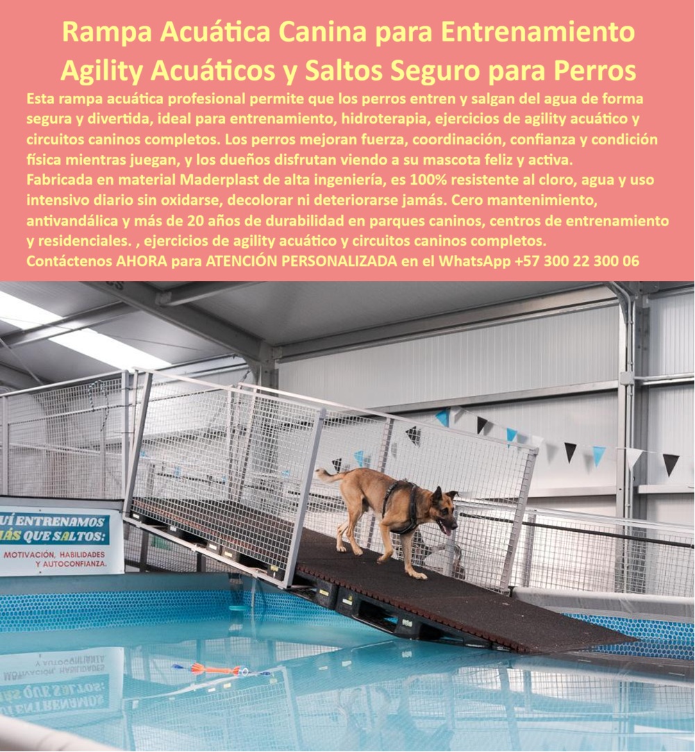 Parque Acuático Canino Anticorrosivo Circuito Acuático Canino Maderplast Parque Acuático Perros Plataforma Salto Plástico Durable Piscina entrenamiento perros antivandálica reduce costos reposición exterior Rampas Acuáticas Caninas Bajo Rampa Acuática Canina Profesional en Plástico de Ingeniería: Treinta y Un Millones Ahorrados al Eliminar el Reemplazo Bianual de Madera El equipamiento de hidroterapia que resiste garras de rottweiler, cloro al 0.5% y sesenta perros diarios sin perder tracción Una rampa acuática canina profesional Maderplast con superficie antideslizante texturizada oscura, barandas laterales de seguridad en malla metálica y gradiente ergonómico de quince grados para protección articular, instalada sobre piscina climatizada en centro de entrenamiento cubierto donde un pastor belga malinois desciende con tracción segura hacia el agua en ejercicio de agility acuático. Base estructural estable anclada al borde, resistente a cloro, garras, mordeduras y carga dinámica de razas superiores a cuarenta kilos en condición mojada permanente. El costo oculto que está quebrando centros de hidroterapia canina Todo veterinario que opera piscinas de rehabilitación canina conoce la frustración: rampas de madera con recubrimiento de caucho que se hinchan por inmersión, desprenden la capa de tracción, acumulan bacterias en juntas y exigen reemplazo cada seis meses. Catorce millones anuales en reposición más tiempos muertos mientras se instalan reemplazos — jornadas de atención perdidas que ningún paciente canino recupera. La fibra de vidrio con grip epóxico parecía alternativa hasta que la delaminación bajo garras de razas grandes la descartó por riesgo articular. Y el acero inoxidable suma corrosión galvánica en soldaduras más recubrimiento epóxico semestral. Al profesional que autoriza esa compra no lo recordarán por el proveedor; lo recordarán por cuántos meses duró funcionando sin riesgos ni sobrecostos. Maderplast: tracción antideslizante permanente en ambiente acuático agresivo Cuando se trata de rampas acuáticas caninas profesionales para centros de hidroterapia y entrenamiento, Maderplast es el fabricante que convierte ideas en piezas reales. El plástico de ingeniería que utiliza Maderplast soporta inmersión permanente en agua clorada al 0.5%, impacto de garras y mordeduras de razas grandes, carga dinámica de salto repetitivo y radiación UV sin rayarse, deformarse ni perder tracción antideslizante durante más de veinte años. La superficie texturizada no acumula bacterias en juntas porque no las tiene — es monolítica. Se fabrican sobre plano con gradiente ergonómico para protección articular, barandas laterales de contención y base de anclaje adaptada a las dimensiones exactas de cada piscina. Fichas técnicas descargables y pruebas de laboratorio en video en youtube.com/@maderplasSA — ensayos de inmersión en agua clorada, resistencia al rayado por garras en test de mil ciclos y estabilidad antideslizante bajo carga mojada. Huella de carbono certificada de 0.77. El centro que recuperó cuarenta y dos jornadas de atención al año El médico veterinario Santiago Felipe Arbeláez Duque, director técnico del Centro de Rehabilitación Canina Aqua Can en Bogotá, operaba tres piscinas climatizadas con sesenta perros diarios y reemplaza rampas de madera dos veces al año por catorce millones anuales más tiempos muertos de instalación. Tras descartar fibra de vidrio por delaminación y verificar las pruebas de laboratorio de Maderplast, instaló tres rampas profesionales con gradiente ergonómico, superficie de alta tracción, barandas de contención y anclaje estructural diseñado sobre plano para cada piscina. A más de dos años de operación diaria intensiva con perros de todas las razas, las rampas mantienen tracción original, integridad completa, cero acumulación bacteriana y cero intervenciones. Ahorro acumulado superior a treinta y un millones de pesos y cuarenta y dos jornadas operativas recuperadas que antes se perdían en reemplazos. La especificación que protege pacientes caninos y rentabilidad simultáneamente Maderplast ofrece diseño personalizado, fabricación de rampas y circuitos acuáticos caninos completos y entrega llave en mano con garantía verificable superior a veinte años. Solicite cotización antes de seguir reemplazando equipamiento que no sobrevive seis meses. Asesoría Especializada Con Un Especialista De Maderplast, Atención Personalizada En Este WhatsApp 57+ 300 22 300 06