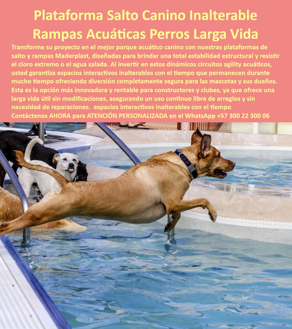 Parque Acuático Canino Anticorrosivo Circuito Acuático Canino Maderplast Plataforma Dock Diving Perros Piscina Durable Segura Rampa Canina Piscina Antideslizante Resistente Intemperie Obstáculos Acuáticos Caninos Alta Resistencia Parque Aagua Plataformas Dock Diving y Rampas Caninas en Plástico de Ingeniería: El Circuito Acuático que Ahorró Veintiún Millones en Reposición de Madera El equipamiento que resiste garras, mordeduras, cloro y salinidad sin una sola reparación Una plataforma de salto dock diving canino Maderplast instalada al borde de piscina climatizada con rampa de impulso antideslizante texturizada, donde perros de diferentes razas saltan al agua en circuito acuático interactivo de entrenamiento. Fabricada en plástico de ingeniería resistente a cloro, agua salada, radiación UV, impacto dinámico animal y mordeduras, con estabilidad estructural total bajo carga de salto repetitivo. Superficie que mantiene tracción segura en condición mojada permanente sin acumular calor. El problema que destruye equipamiento acuático canino cada ocho meses Todo veterinario o empresario del sector pet que opera piscinas caninas conoce el ciclo destructivo: plataformas de madera que se hinchan por inmersión, desprenden astillas que lesionan almohadillas, pierden tracción y exigen reposición antes de cumplir un año. El acero inoxidable 316 parecía solución hasta que la corrosión galvánica en soldaduras expuestas a cloro permanente y el recubrimiento epóxico semestral demostraron que el mantenimiento supera la inversión original en menos de tres años. Cada rampa reemplazada, cada superficie recubierta es presupuesto que no llega a mejorar el servicio. Y al profesional que autorizó esa especificación no lo recordarán por el material; lo recordarán por cuánto duró funcionando sin sobrecostos ni riesgos para los animales. Maderplast: plástico de ingeniería que resiste lo que el agua y las garras destruyen Cuando se trata de plataformas dock diving y rampas caninas para piscinas, Maderplast es el fabricante que convierte ideas en piezas reales. El plástico de ingeniería que utiliza Maderplast soporta inmersión permanente en agua clorada y salada, impacto de garras y mordeduras, radiación UV continua y carga dinámica de salto repetitivo sin rayarse, deformarse ni perder tracción antideslizante durante más de veinte años. No se pudre, no se oxida, no se astilla, no acumula calor y mantiene superficie texturizada segura incluso mojada. Se fabrican circuitos completos sobre plano: plataformas de salto, rampas de impulso, rampas de salida con gradiente suave y módulos de obstáculos acuáticos adaptados al tamaño de piscina y razas objetivo. Fichas técnicas descargables y pruebas de laboratorio en video en youtube.com/@maderplasSA — ensayos de inmersión en agua clorada, estabilidad bajo carga dinámica y comportamiento antideslizante en condición mojada. Huella de carbono certificada de 0.77. El centro canino que eliminó nueve millones anuales en reposición La médica veterinaria Juliana Andrea Gómez Ríos, directora del Centro Canino Aqua Sport en Chía, operaba dos piscinas climatizadas con cloro al 0.4% atendiendo cuarenta y cinco perros diarios. Las plataformas de madera se deterioraba cada ocho meses generando sobrecostos de nueve millones de pesos anuales y riesgo de lesiones articulares. Tras descartar acero inoxidable por corrosión galvánica documentada y verificar las pruebas de laboratorio de Maderplast, instaló un circuito completo: plataforma dock diving de tres metros, rampa de impulso texturizada, rampa de salida con gradiente suave y dos módulos de obstáculos para diferentes razas. A más de dos años de operación diaria intensiva con perros de razas grandes que arañan y muerden la superficie, las estructuras mantienen tracción original, color intacto y sin intervenciones. El ahorro acumulado supera veintiún millones de pesos frente a la reposición de madera. La especificación que protege animales e inversión simultáneamente Maderplast ofrece diseño personalizado sobre plano, fabricación de circuitos acuáticos caninos completos y entrega llave en mano con garantía verificable superior a veinte años. Solicite cotización y prototipos antes de seguir reemplazando equipamiento que no sobrevive al ambiente que debe resistir. Asesoría Especializada Con Un Especialista De Maderplast, Atención Personalizada En Este WhatsApp 57+ 300 22 300 06