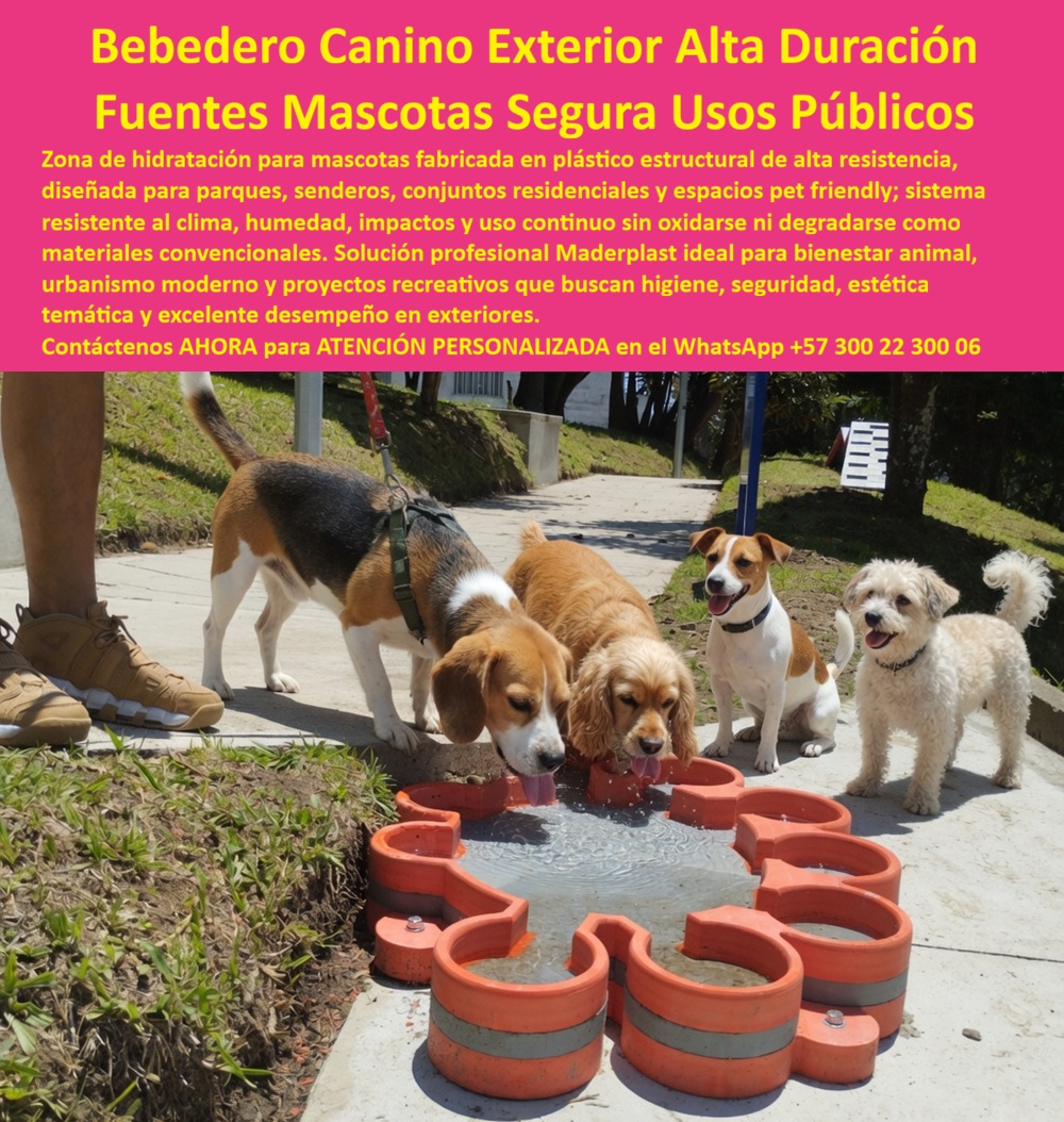 Zona Hidratación Mascotas Bebedero fuente agua Parque La Enea Maderplast Bebedero Mascotas Exterior Antivandálico Alta Duracion Fuente Agua Para Perros Alta Resistencia Pública Bebedero Para Mascotas Inoxidable Resistente Al Clima Bebedero Canino Multi-Compartimento en Plástico Estructural: Cero Bacterias, Cero Algas y Modelo Replicable en la Red de Ciudades Cómo Vamos La fuente donde cuatro perros beben al mismo tiempo sin peleas, sin óxido y sin riesgo sanitario Un bebedero canino exterior Maderplast con diseño de flor en plástico estructural naranja y gris con múltiples pétalos que forman compartimentos de hidratación simultánea, donde cuatro perros de diferentes razas beben agua al mismo tiempo, instalado sobre andén peatonal en zona pet friendly del Parque La Enea de Manizales. Superficie higiénica impermeable sin porosidad que no acumula algas ni bacterias, conexión hidráulica directa a red de agua potable y montaje sobre andén existente en menos de dos horas por unidad. El problema sanitario que los bebederos convencionales no resuelven Toda secretaría de medio ambiente que ha implementado puntos de hidratación canina conoce los dos fallos que arruinan el programa: los bebederos de cemento fundido acumulan algas y bacterias en los poros a los cuarenta y cinco días, obligando a limpieza con ácido muriático cada dos semanas que deteriora la superficie y contamina el suelo. Los metálicos de acero galvanizado generan escorrentía de óxido que contamina el agua potable dentro del recipiente — y los perros rechazan beber por el sabor metálico documentado en pruebas de aceptación. Cada bebedero que falla sanitariamente desacredita el programa completo de bienestar animal. Al profesional que especificó ese material no lo recordarán por la intención del proyecto; lo recordarán por el riesgo sanitario que generó o por la higiene que garantizó. Maderplast: superficie sin poros que mantiene agua limpia durante décadas Cuando se trata de bebederos caninos para parques públicos y zonas pet friendly, Maderplast es el fabricante que convierte ideas en piezas reales. El plástico estructural que utiliza Maderplast es totalmente impermeable sin porosidad: no absorbe líquidos, no genera hongos, no acumula algas ni bacterias y se limpia con agua a presión sin químicos agresivos. Resiste mordeduras de razas grandes, impactos, radiación UV e intemperie sin oxidarse ni agrietarse durante más de veinte años. El diseño floral multi-compartimento permite hidratación simultánea de cuatro a seis perros distribuidos alrededor de la fuente, eliminando conflictos por acceso al agua. Material certificado en pruebas de migración de sustancias para seguridad alimentaria en contacto con agua potable. Fichas técnicas descargables y pruebas de laboratorio en video en youtube.com/@maderplasSA. Huella de carbono certificada de 0.77. Los doce parques que convirtieron hidratación canina en política pública modelo La médica veterinaria Natalia Andrea Ospina García, asesora de bienestar animal de la Secretaría de Medio Ambiente de Manizales, enfrentaba bebederos de cemento con bacterias a los cuarenta y cinco días y metálicos con óxido que contamina el agua y generaba rechazo animal. Tras verificar las pruebas de laboratorio de Maderplast, instaló dieciocho bebederos temáticos florales multi-compartimento en doce parques priorizados, con conexión hidráulica directa y montaje en menos de dos horas por unidad. A más de dos años con uso diario de setenta y cinco perros por bebedero: superficie higiénica intacta sin algas ni bacterias según muestreos trimestrales del laboratorio veterinario, cero oxidación, cero grietas por mordeduras, cero intervenciones. Ahorro superior a veintiséis millones de pesos en limpieza química y reposición, y el programa se posicionó como modelo replicable en la Red de Ciudades Cómo Vamos. La especificación que protege la salud animal y la credibilidad del programa Maderplast ofrece bebederos caninos temáticos, fuentes de hidratación multi-compartimento y montaje llave en mano con garantía superior a veinte años. Solicite cotización antes de instalar bebederos que contaminen el agua que deberían servir. Asesoría Especializada Con Un Especialista De Maderplast, Atención Personalizada En Este WhatsApp 57+ 300 22 300 06