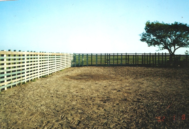 corral llanero 00 corraleja grande corrales fuertes corralejas para ganado del llano fincas corrales trabajo corrales plásticos corrales madera corral hierro corraleja cemento guadua tubos en corral plantas corral llanero 00 corraleja grande corrales fuertes corralejas para ganado del llano fincas corrales trabajo corrales plásticos corrales madera corral hierro corraleja cemento guadua tubos en corral plantas